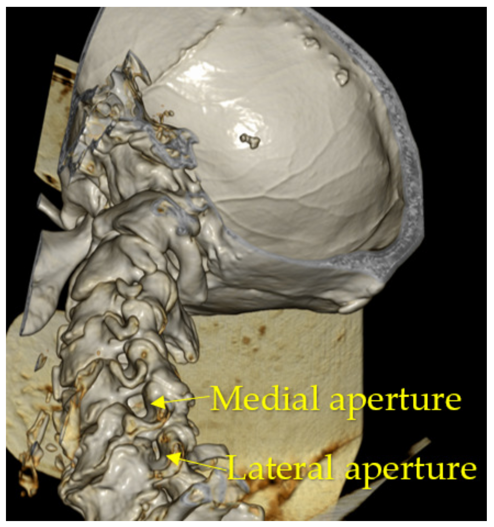 Diagnostics 13 02809 g010