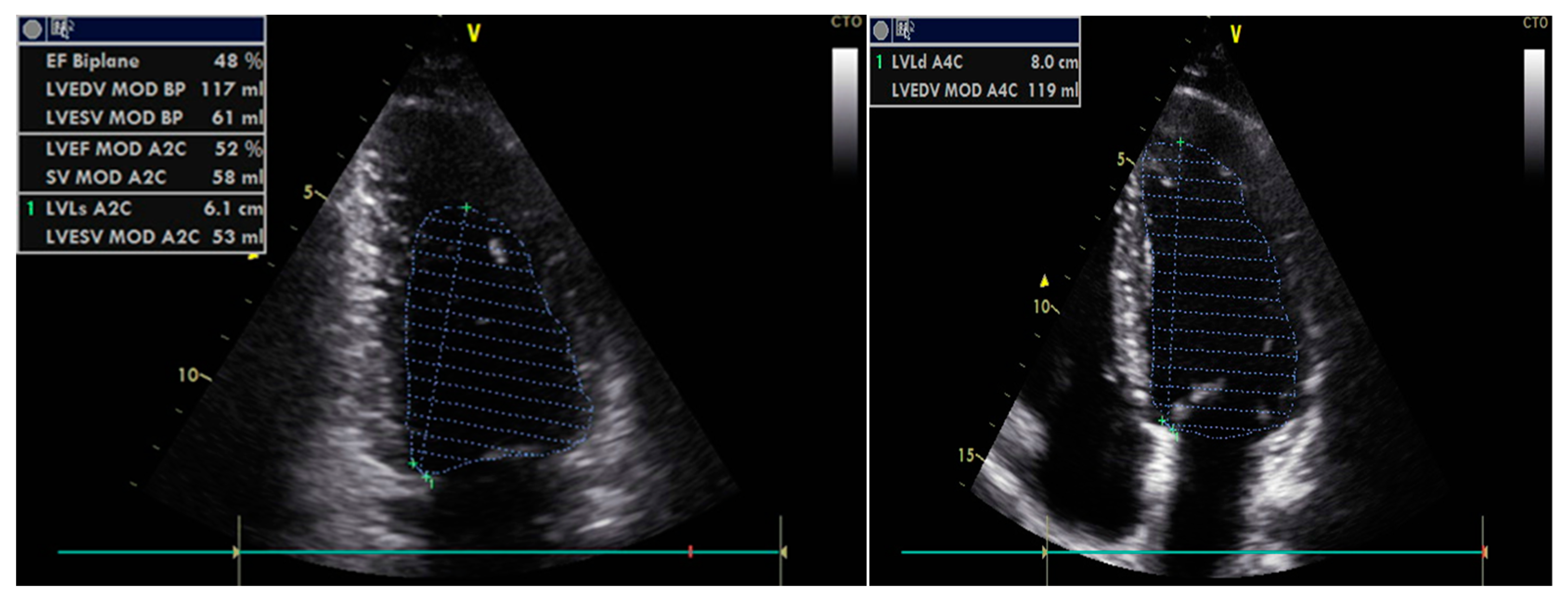 Diagnostics 13 02817 g002
