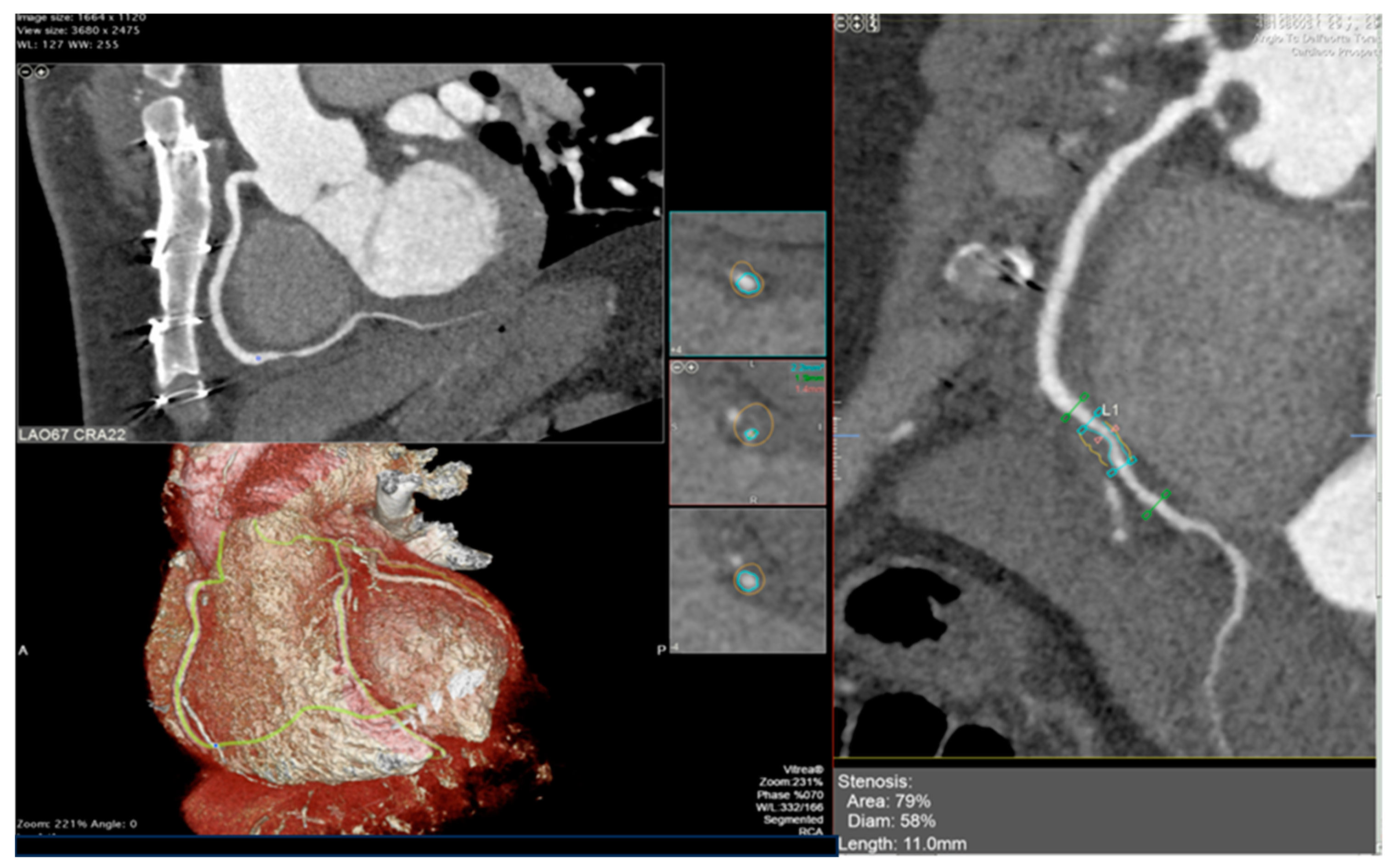 Diagnostics 13 02818 g002