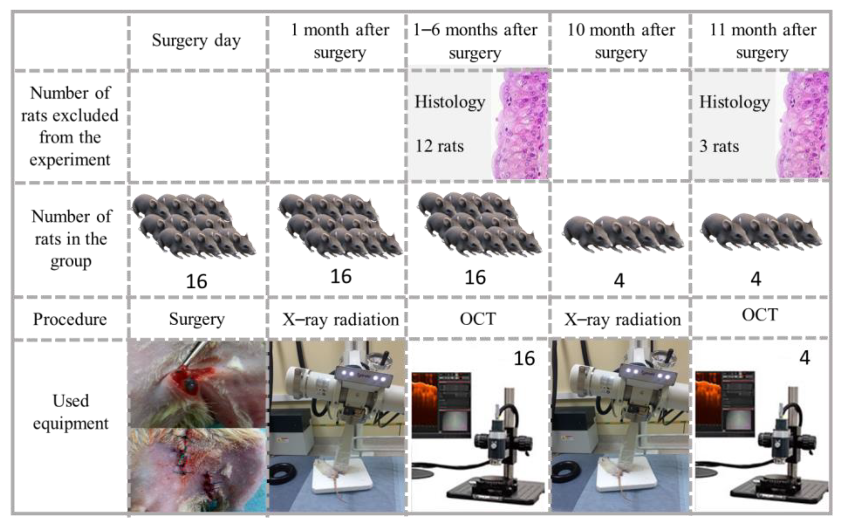Diagnostics 13 02822 g001