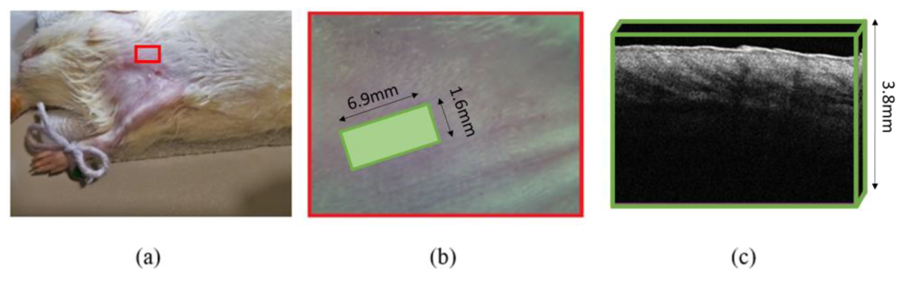 Diagnostics 13 02822 g002