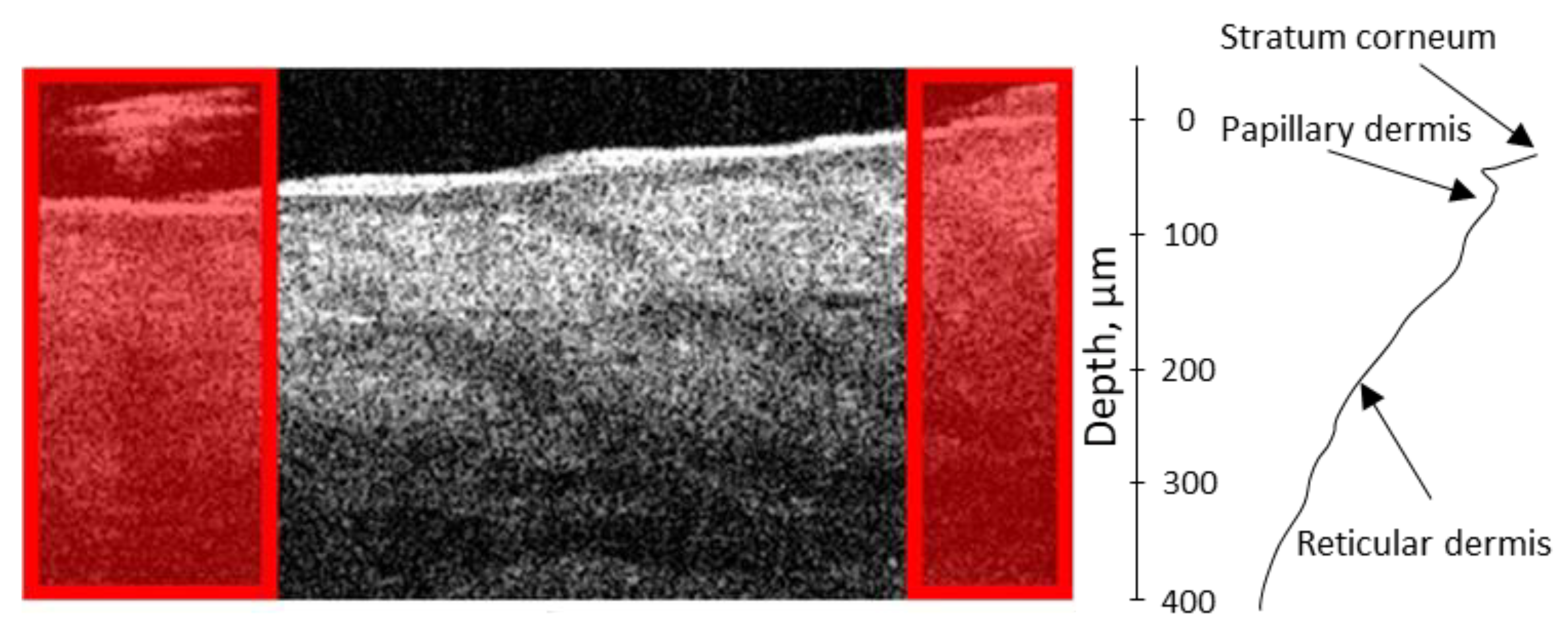 Diagnostics 13 02822 g004