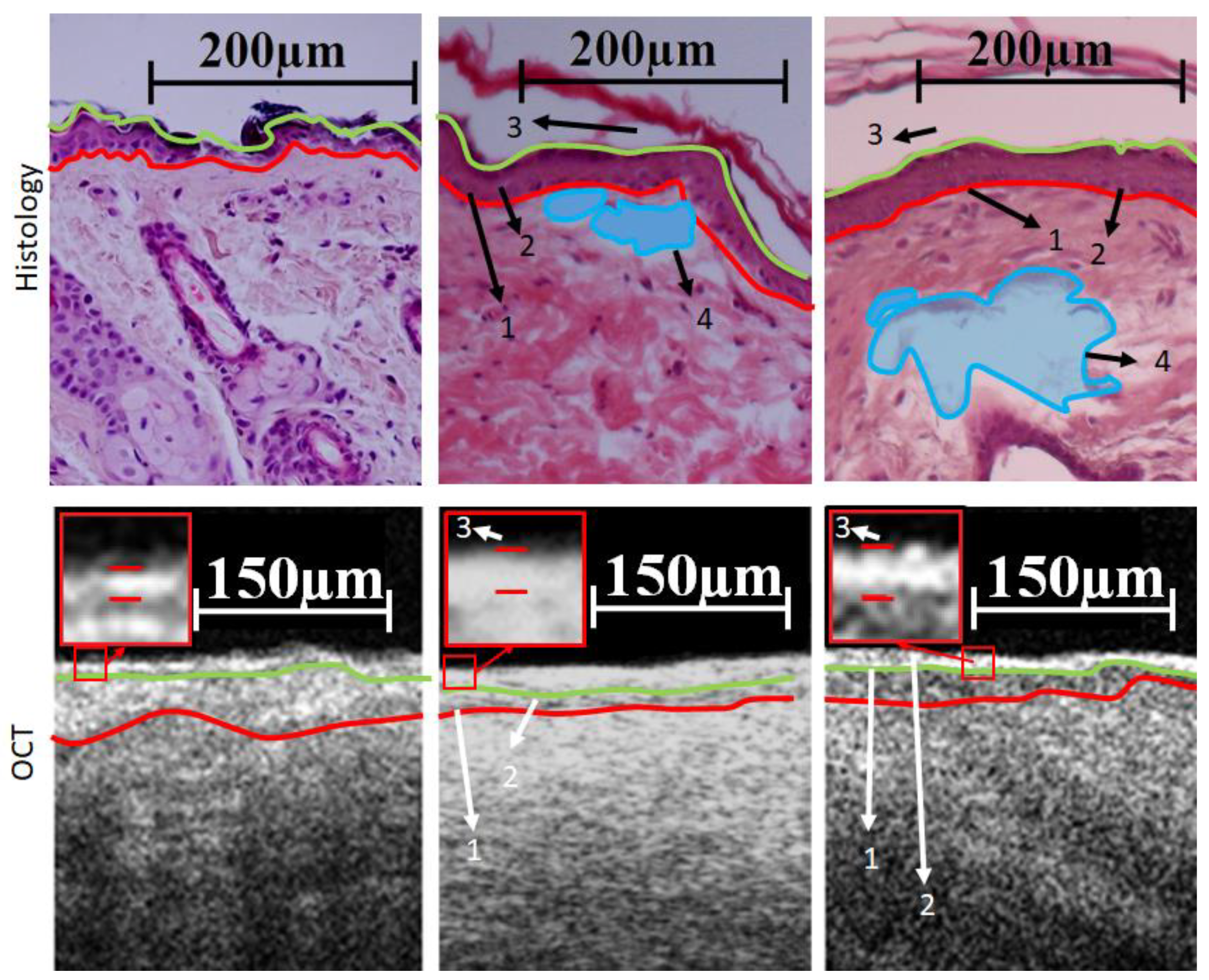 Diagnostics 13 02822 g006