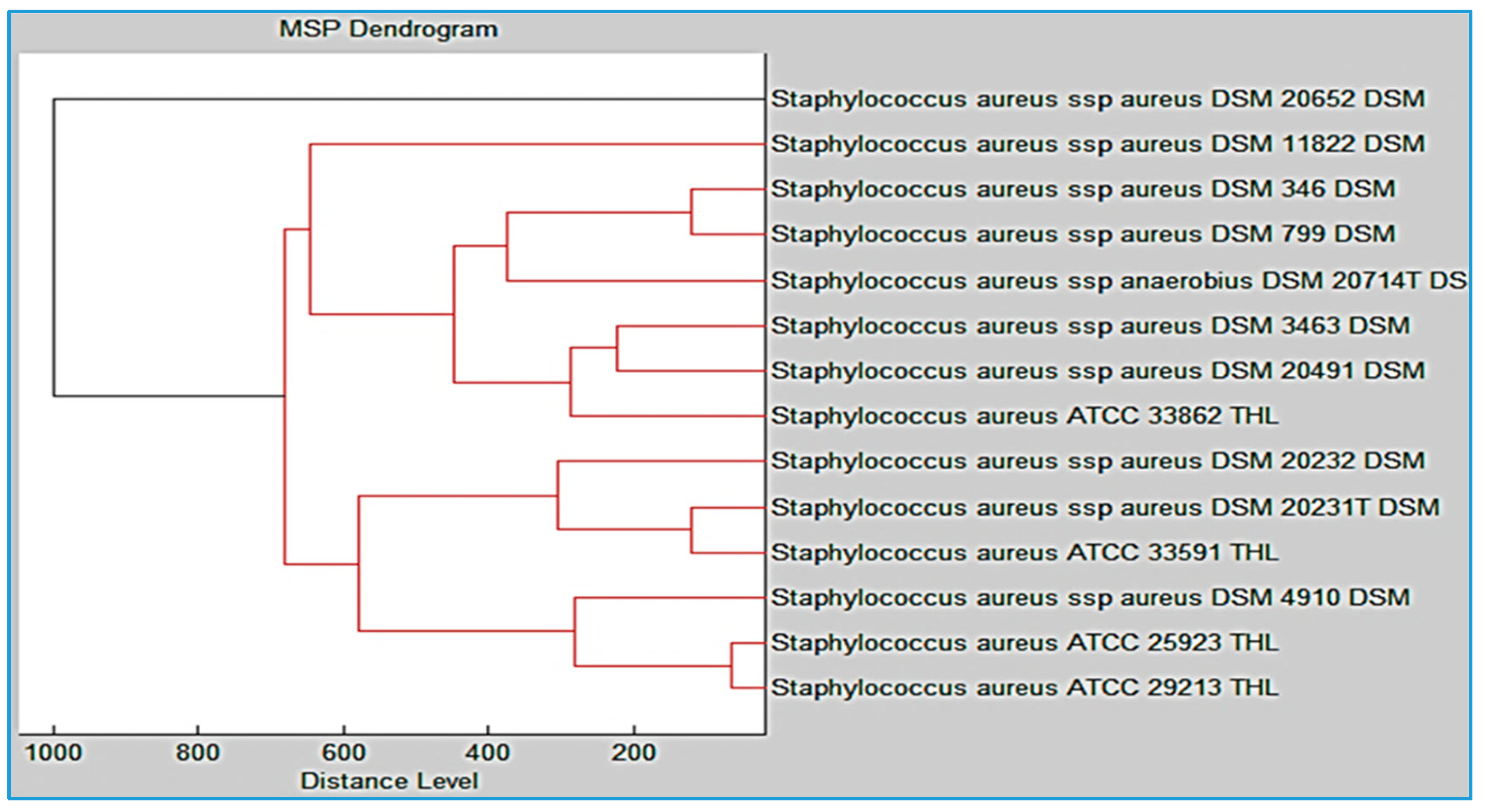 Diagnostics 13 02825 g005