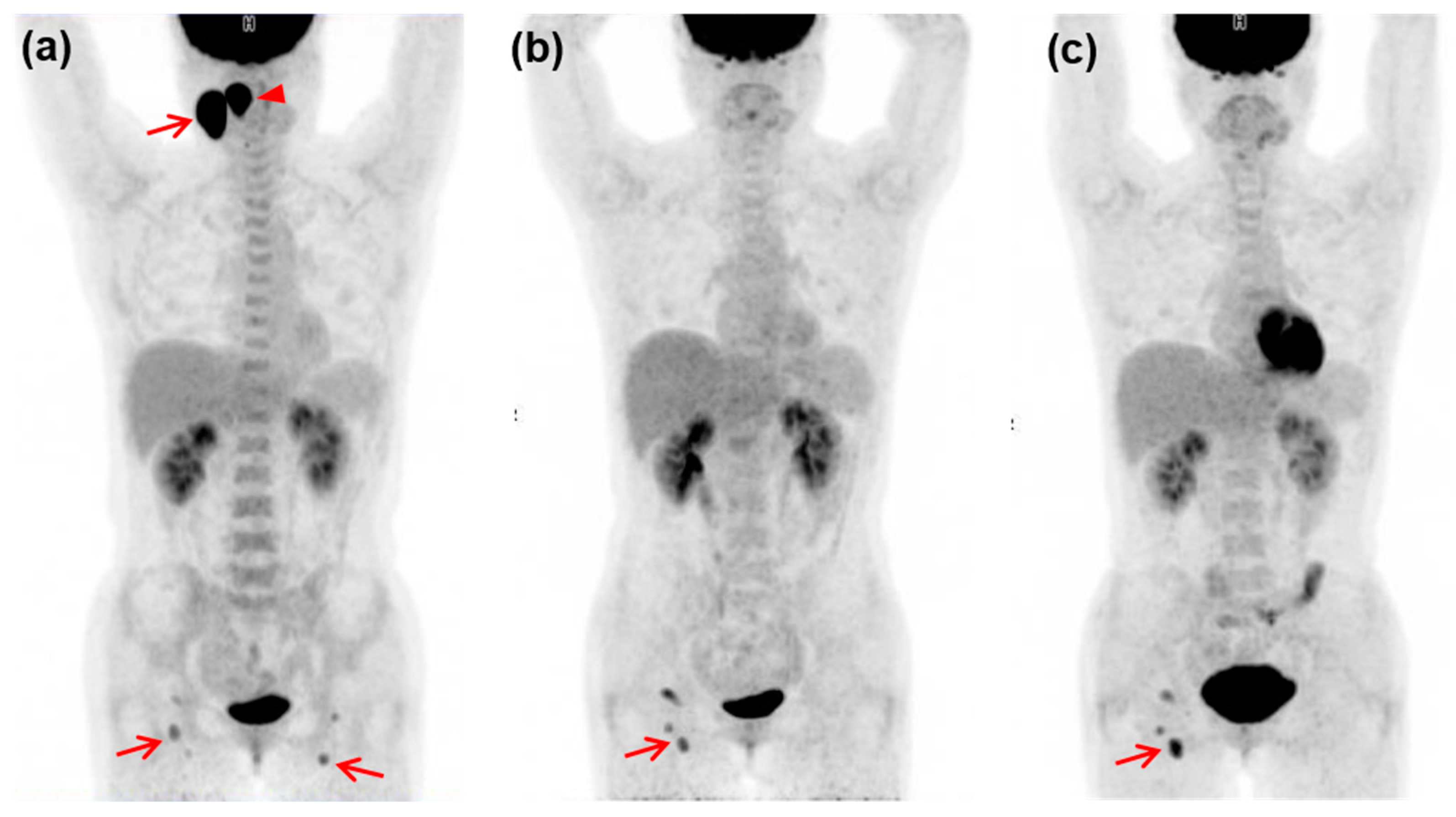 Diagnostics 13 02834 g004