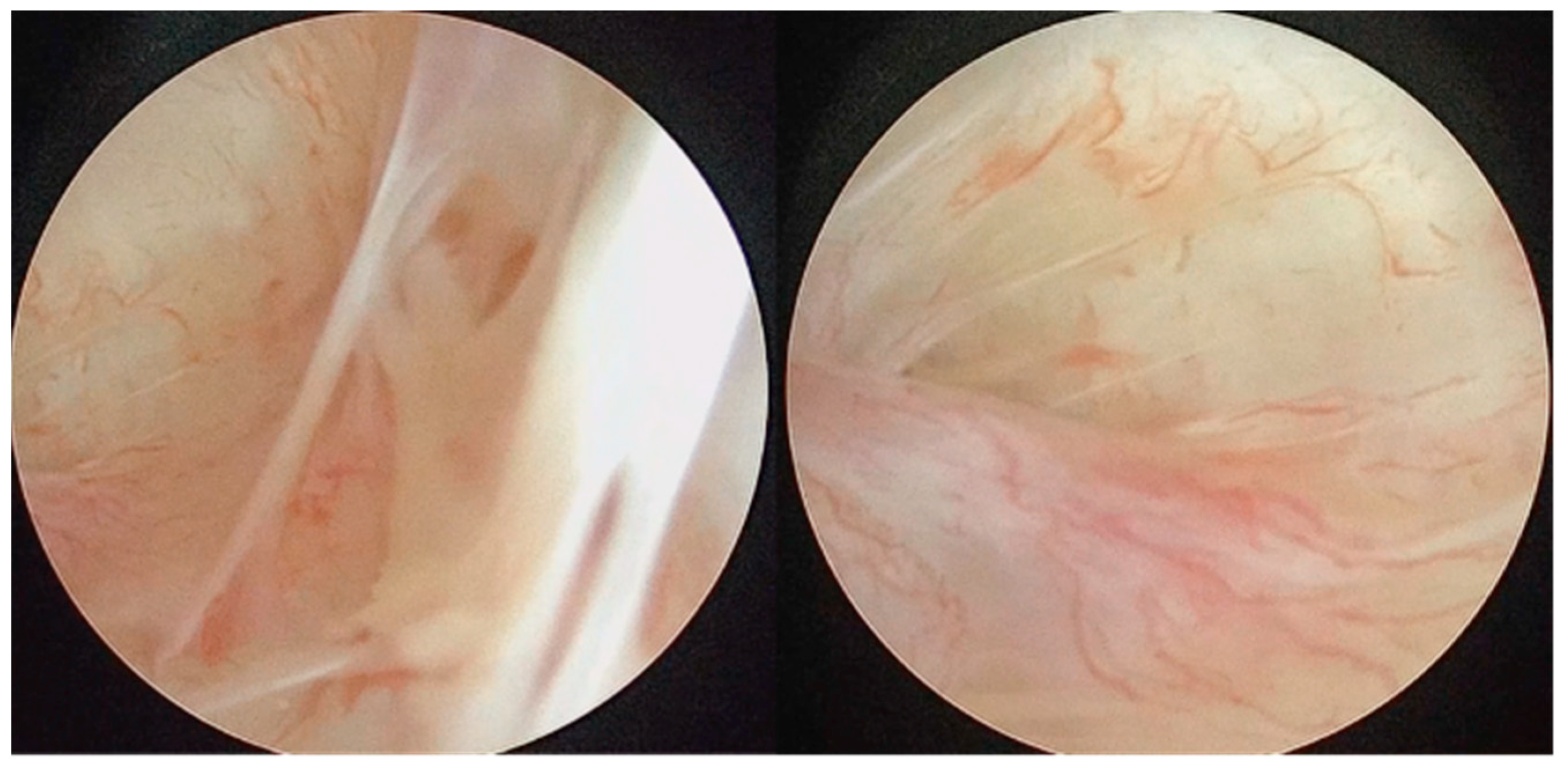 Diagnostics 13 02837 g001