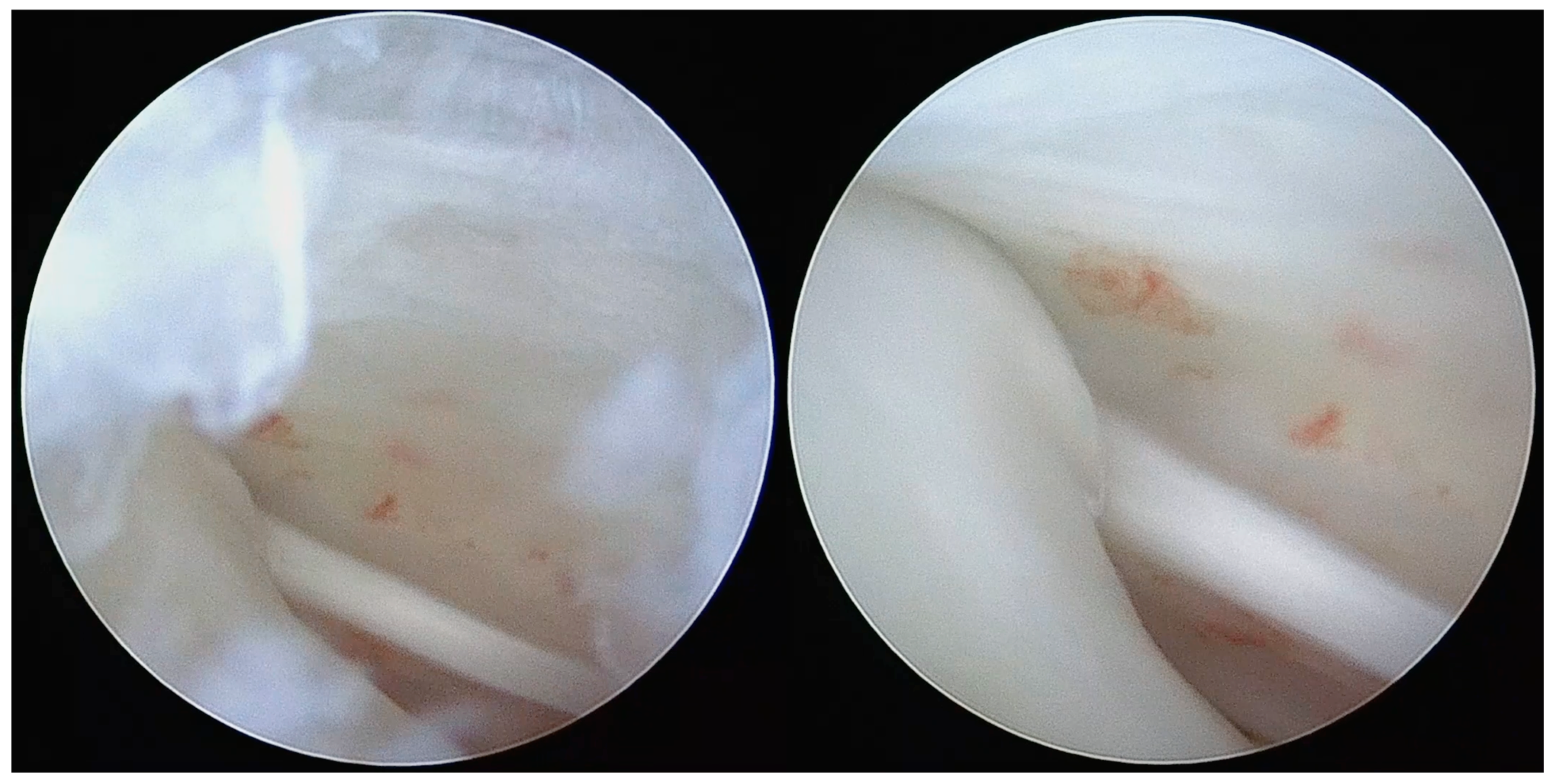 Diagnostics 13 02837 g002