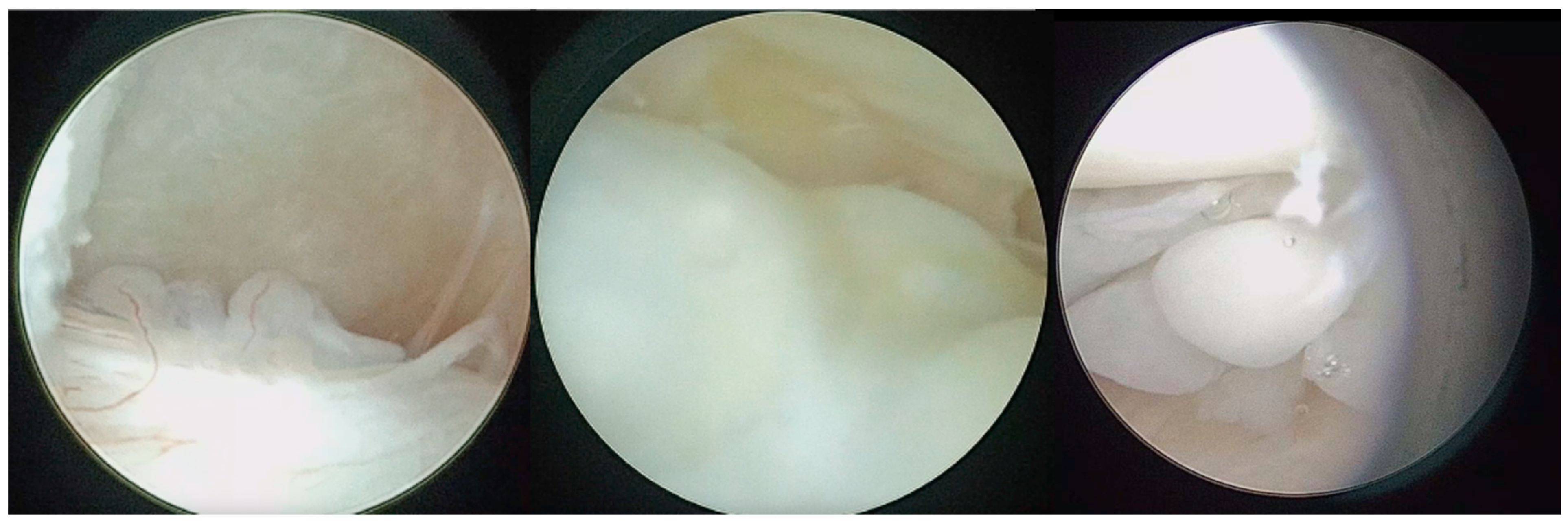 Diagnostics 13 02837 g003