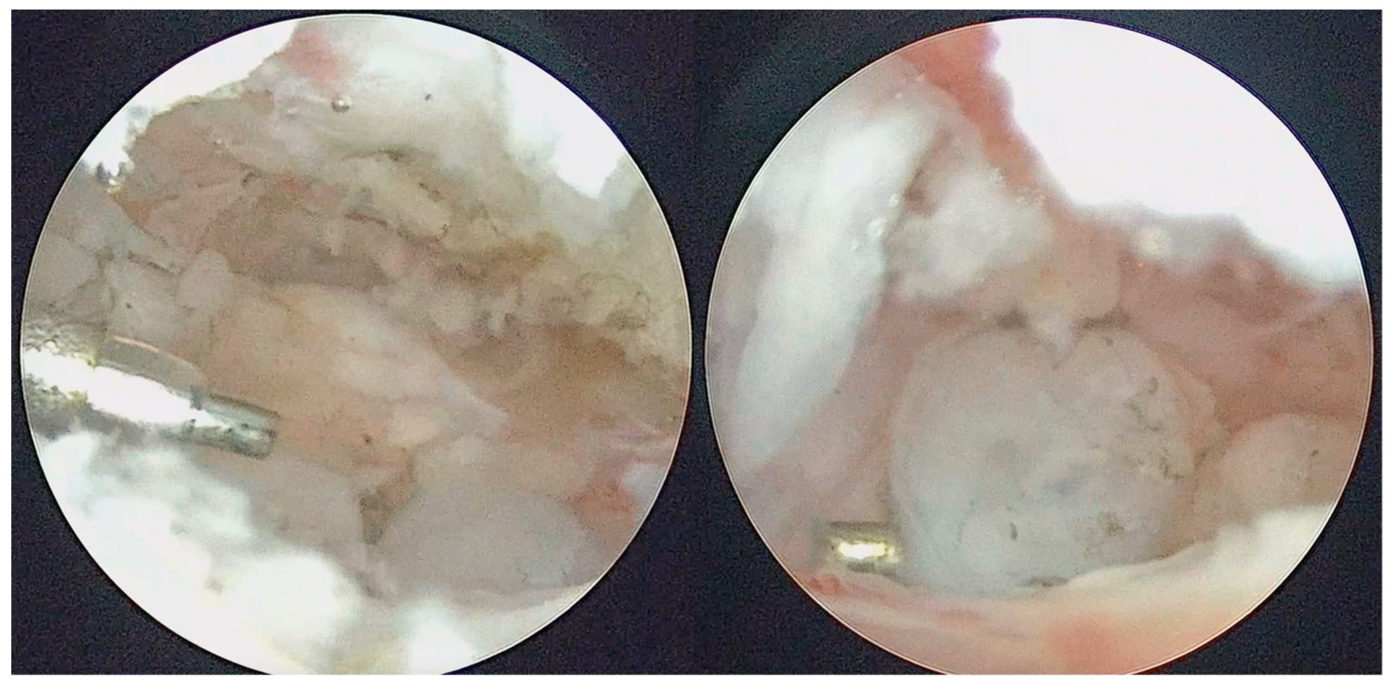 Diagnostics 13 02837 g006