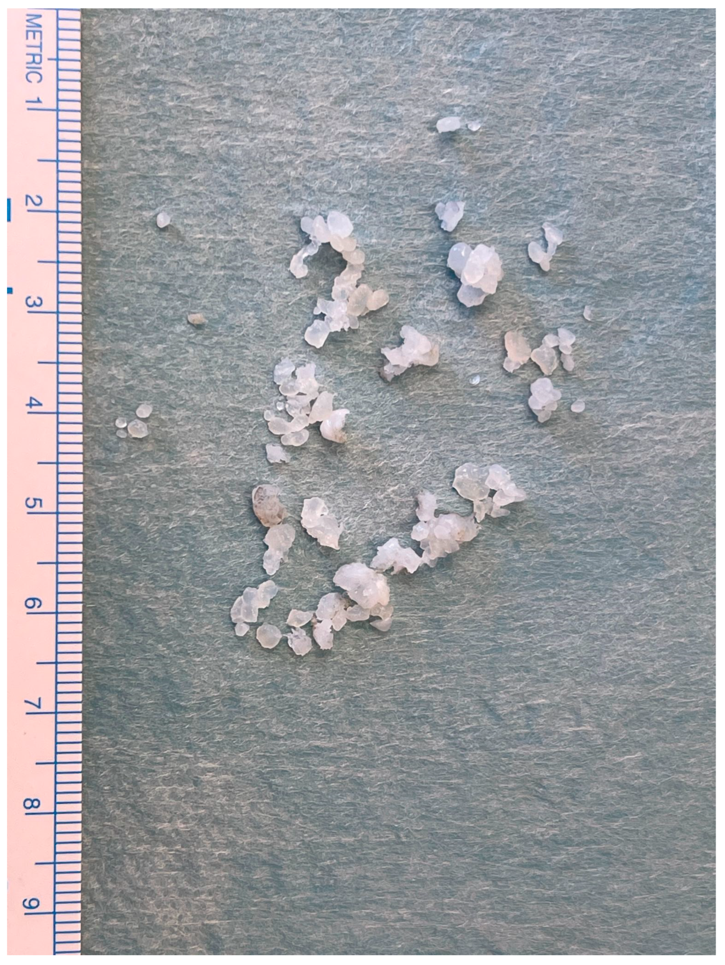 Diagnostics 13 02837 g008