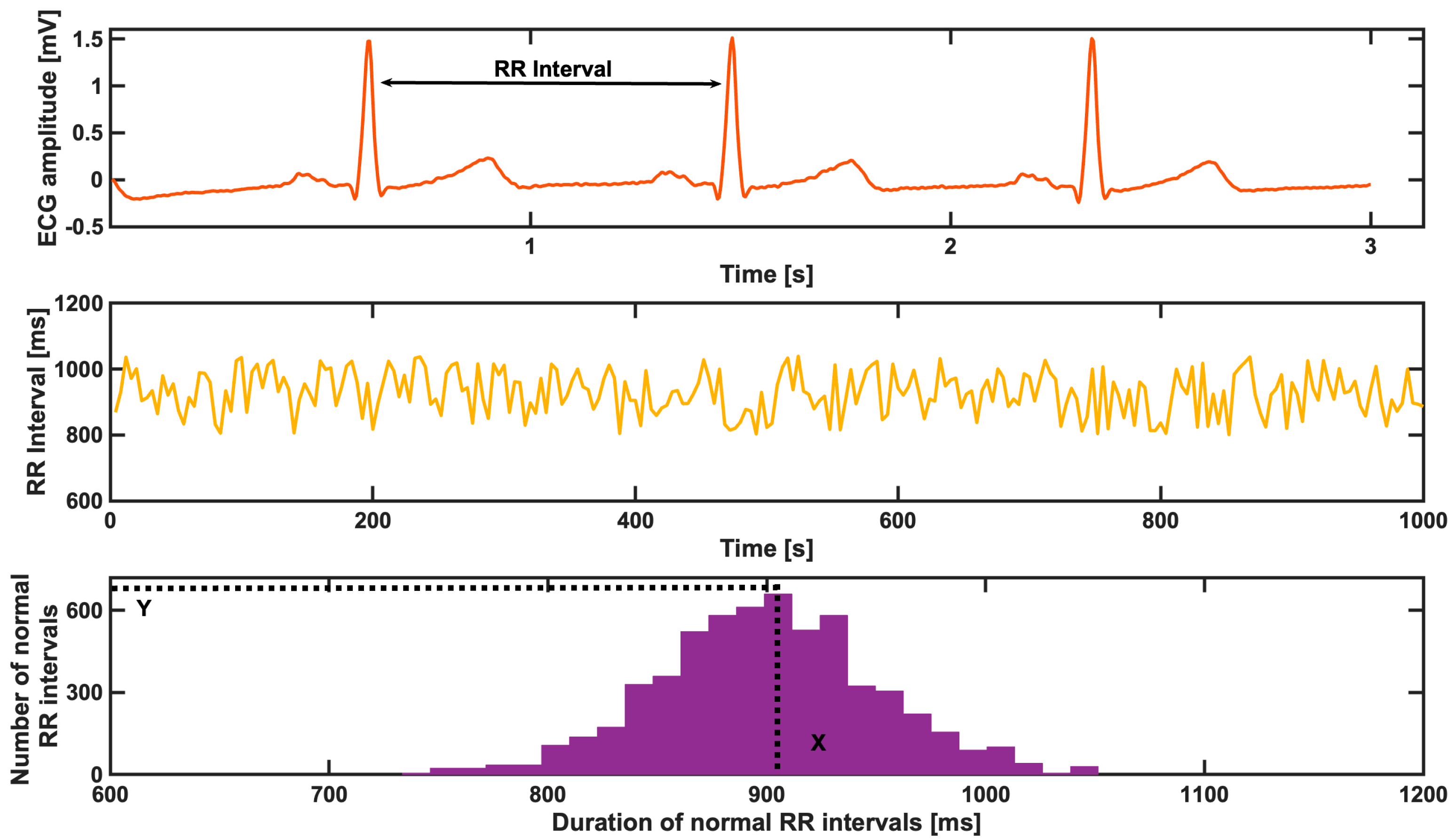 Diagnostics 13 02838 g001