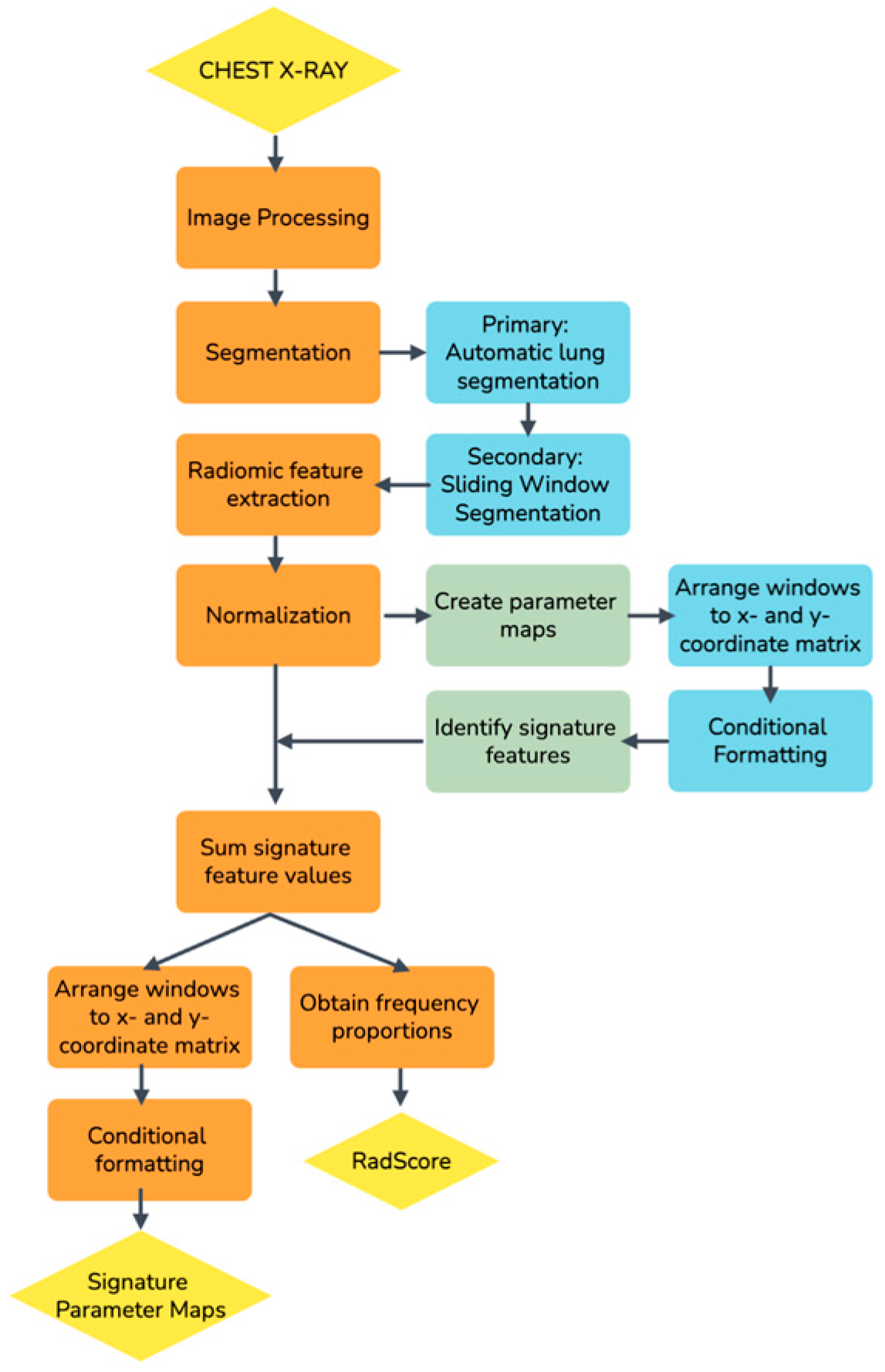 Diagnostics 13 02842 g001