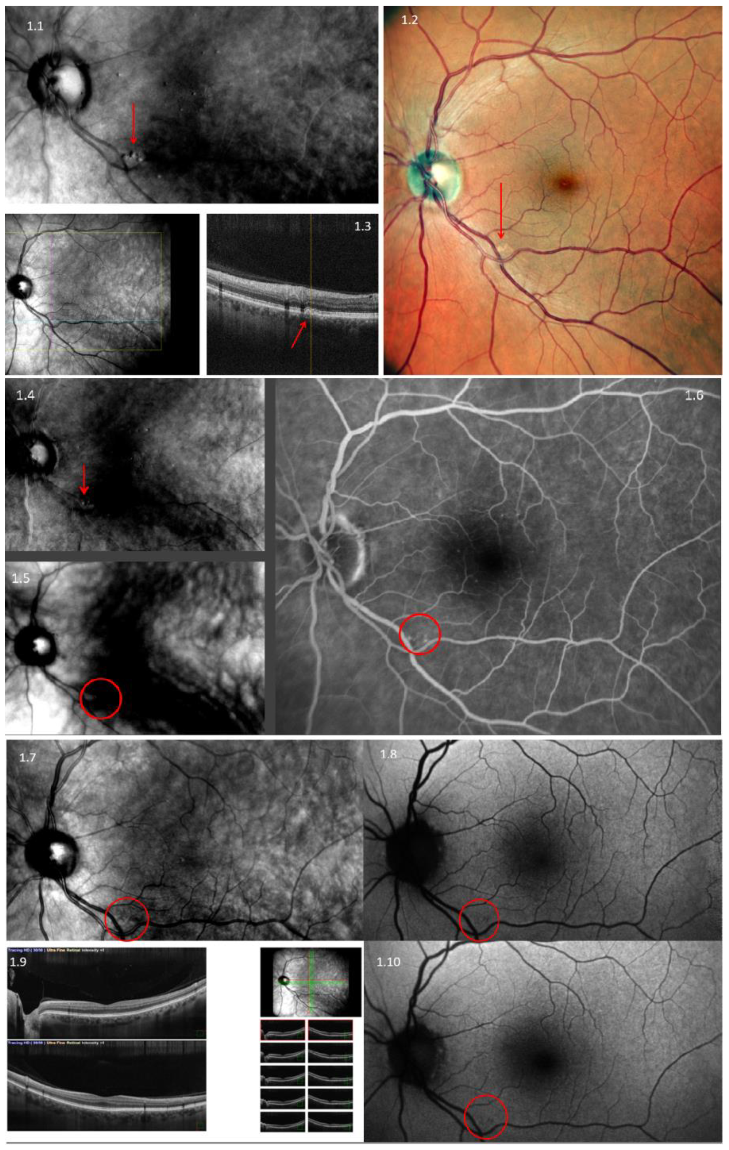 Diagnostics 13 02846 g001