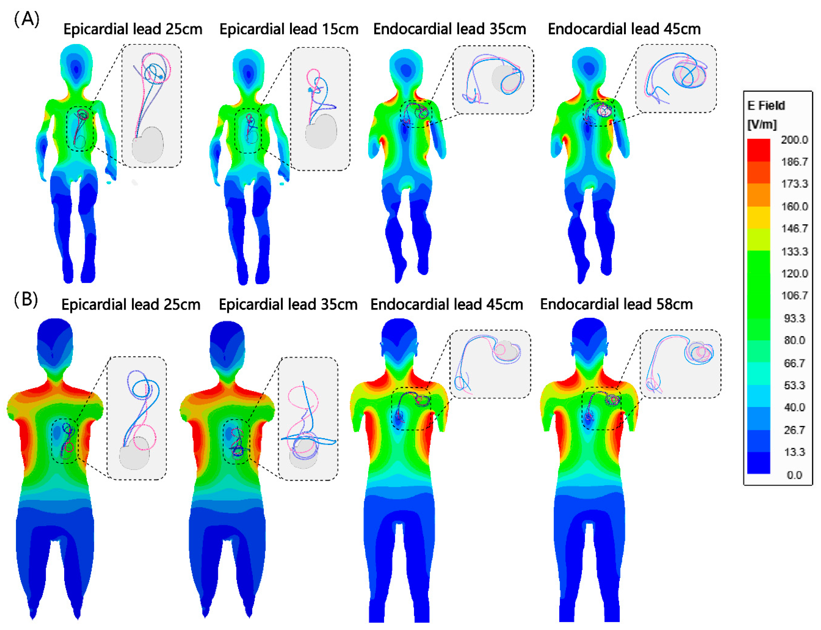 Diagnostics 13 02847 g004