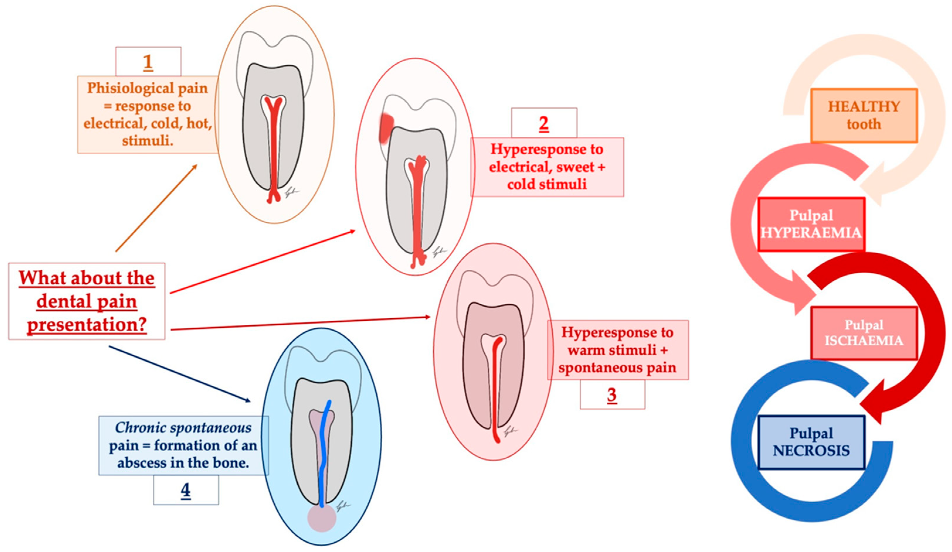 Diagnostics 13 02854 g001