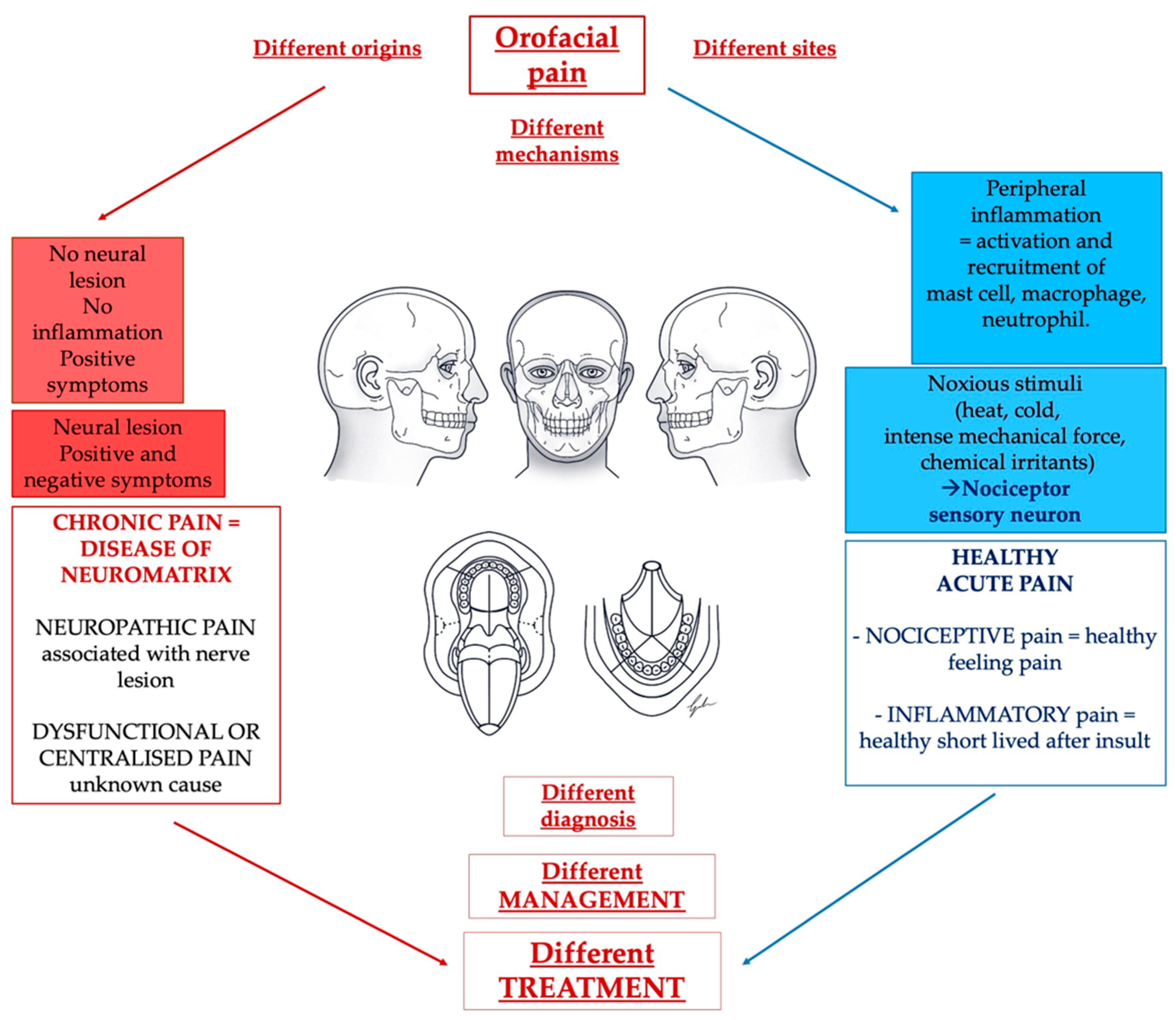 Diagnostics 13 02854 g002