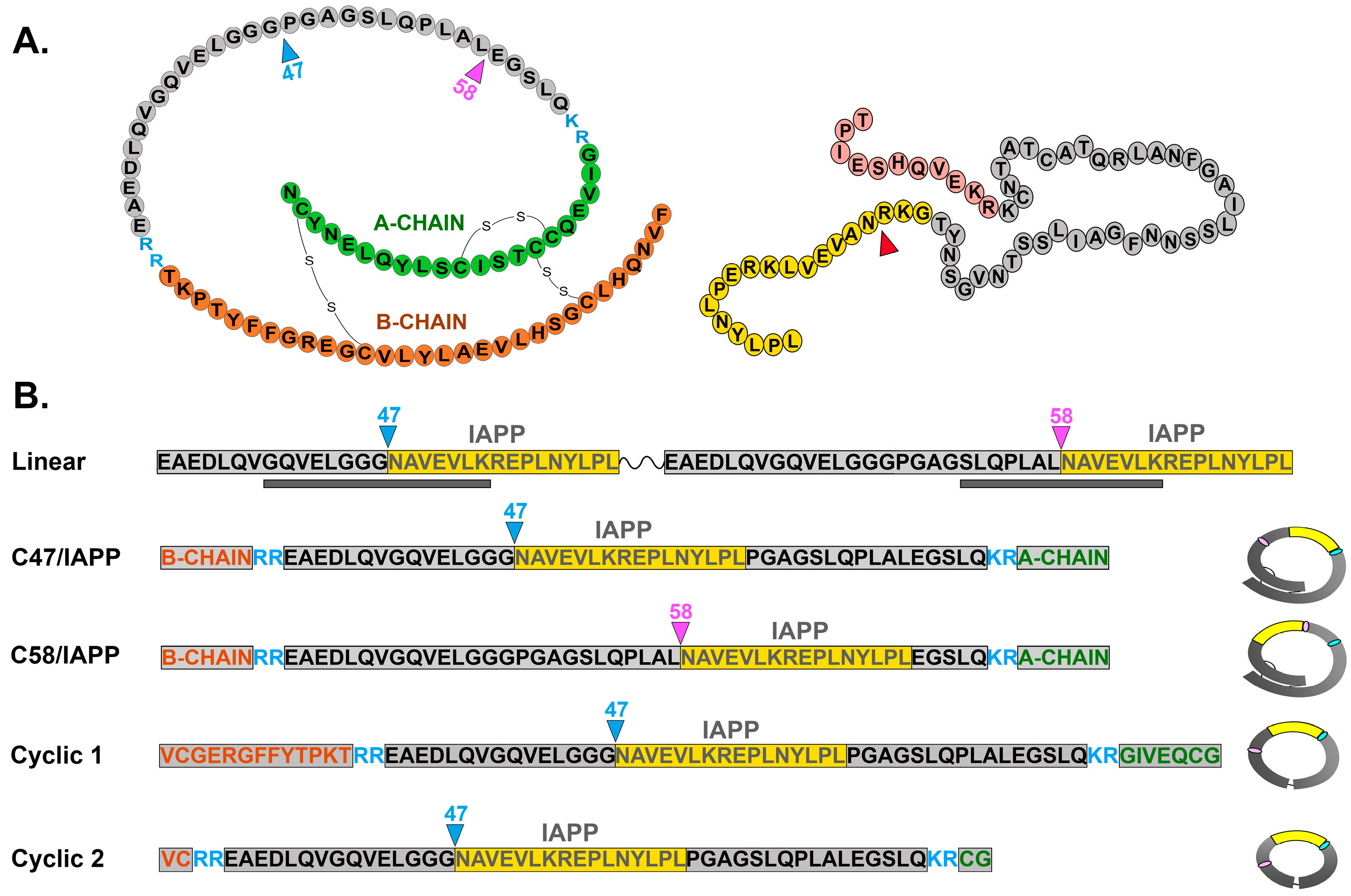 Diagnostics 13 02859 g001