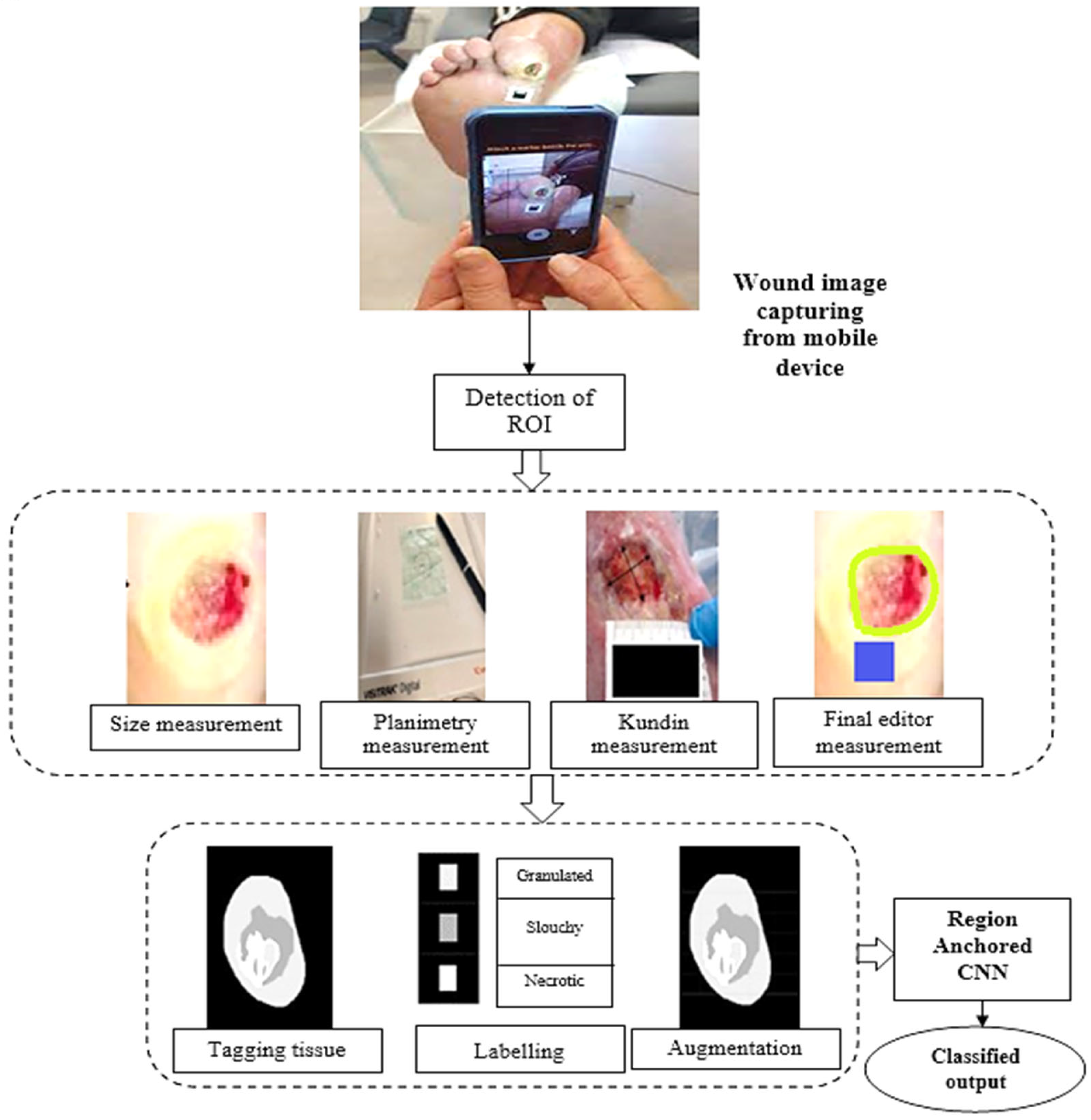 Diagnostics 13 02866 g001