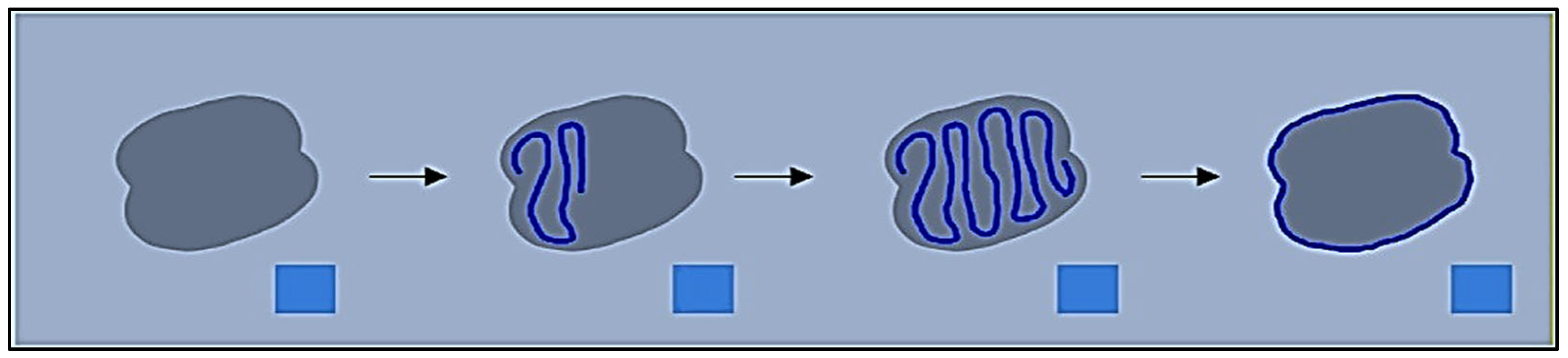 Diagnostics 13 02866 g002