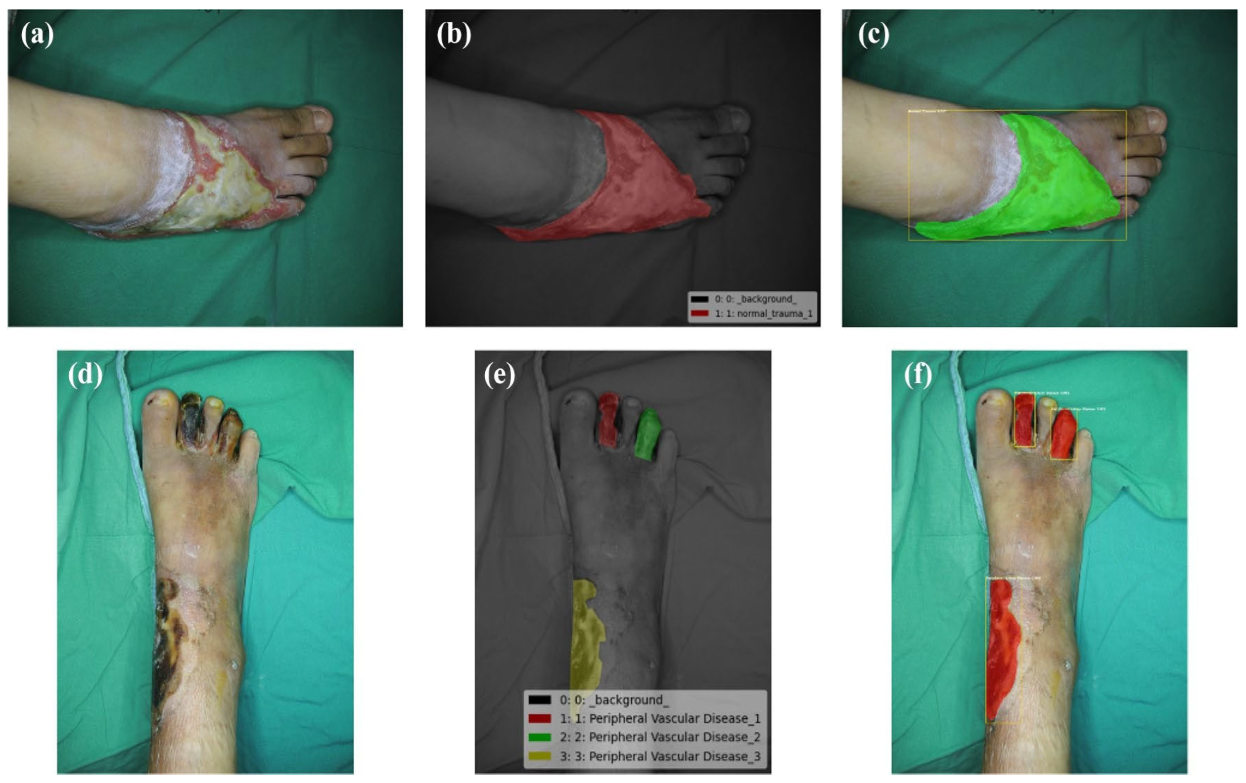 Diagnostics 13 02866 g008