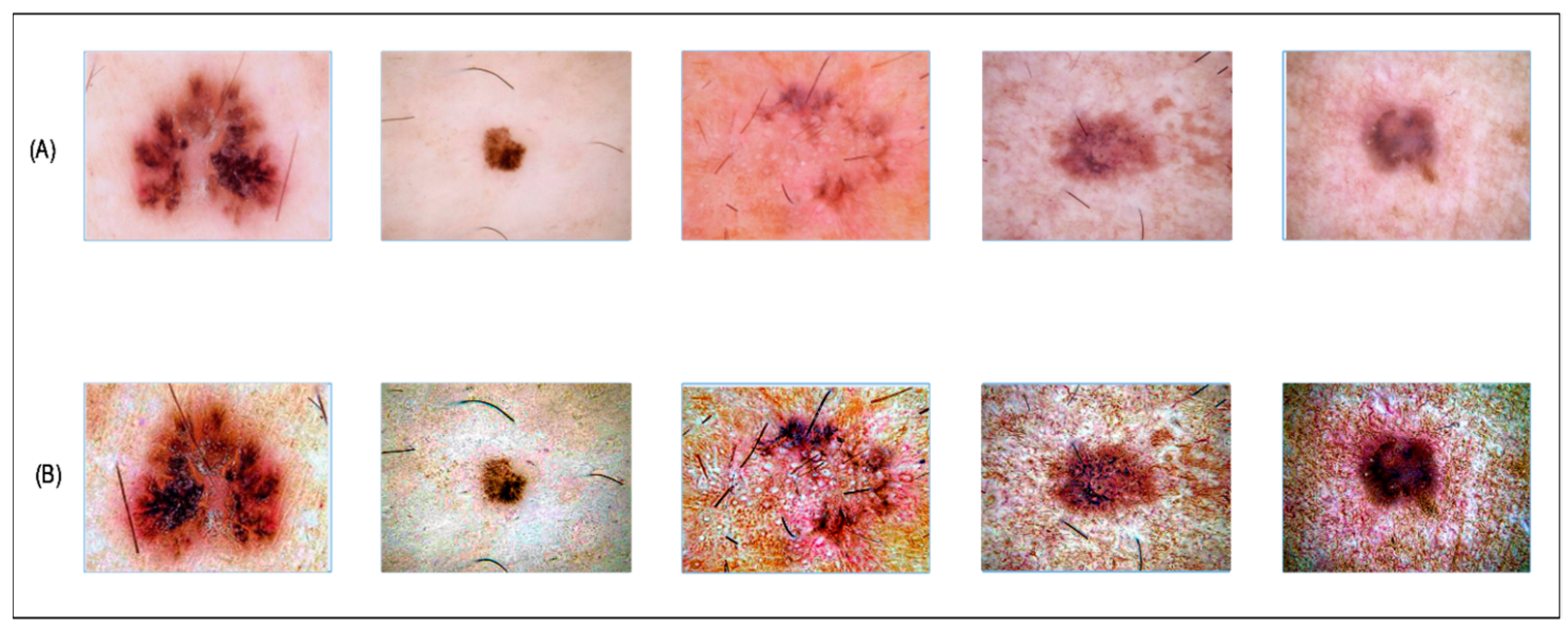 Diagnostics 13 02869 g003