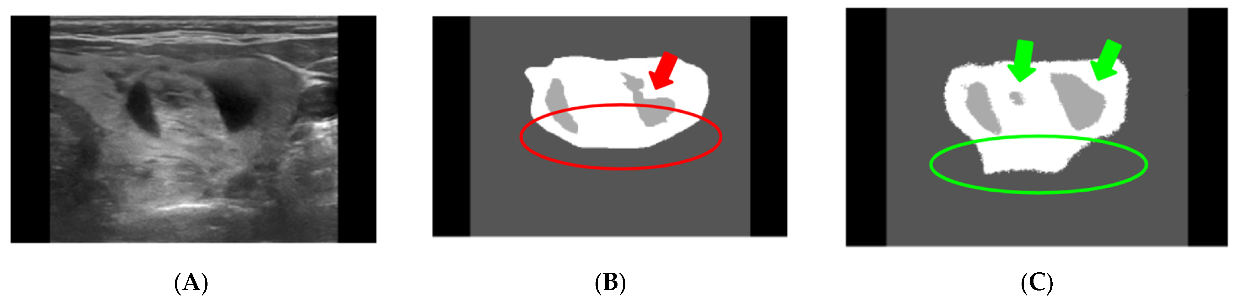 Diagnostics 13 02873 g002