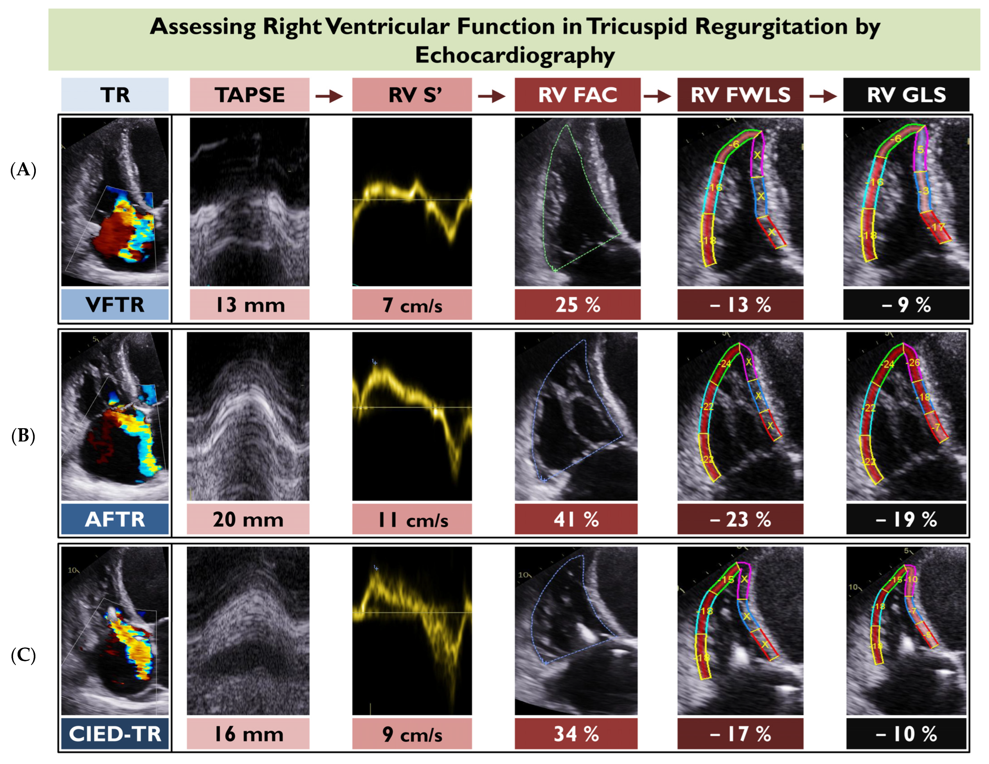 Diagnostics 13 02885 g002