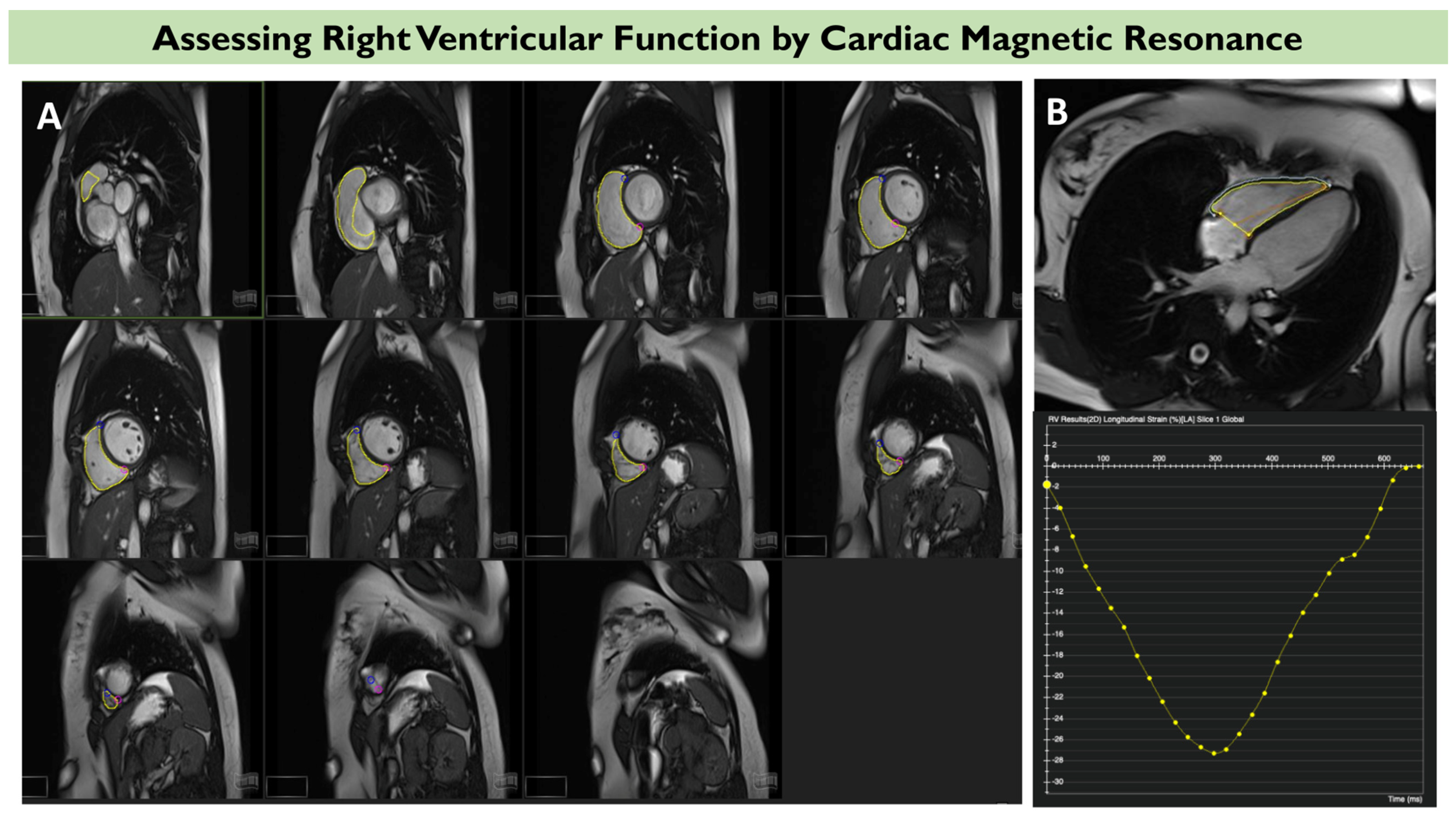 Diagnostics 13 02885 g003