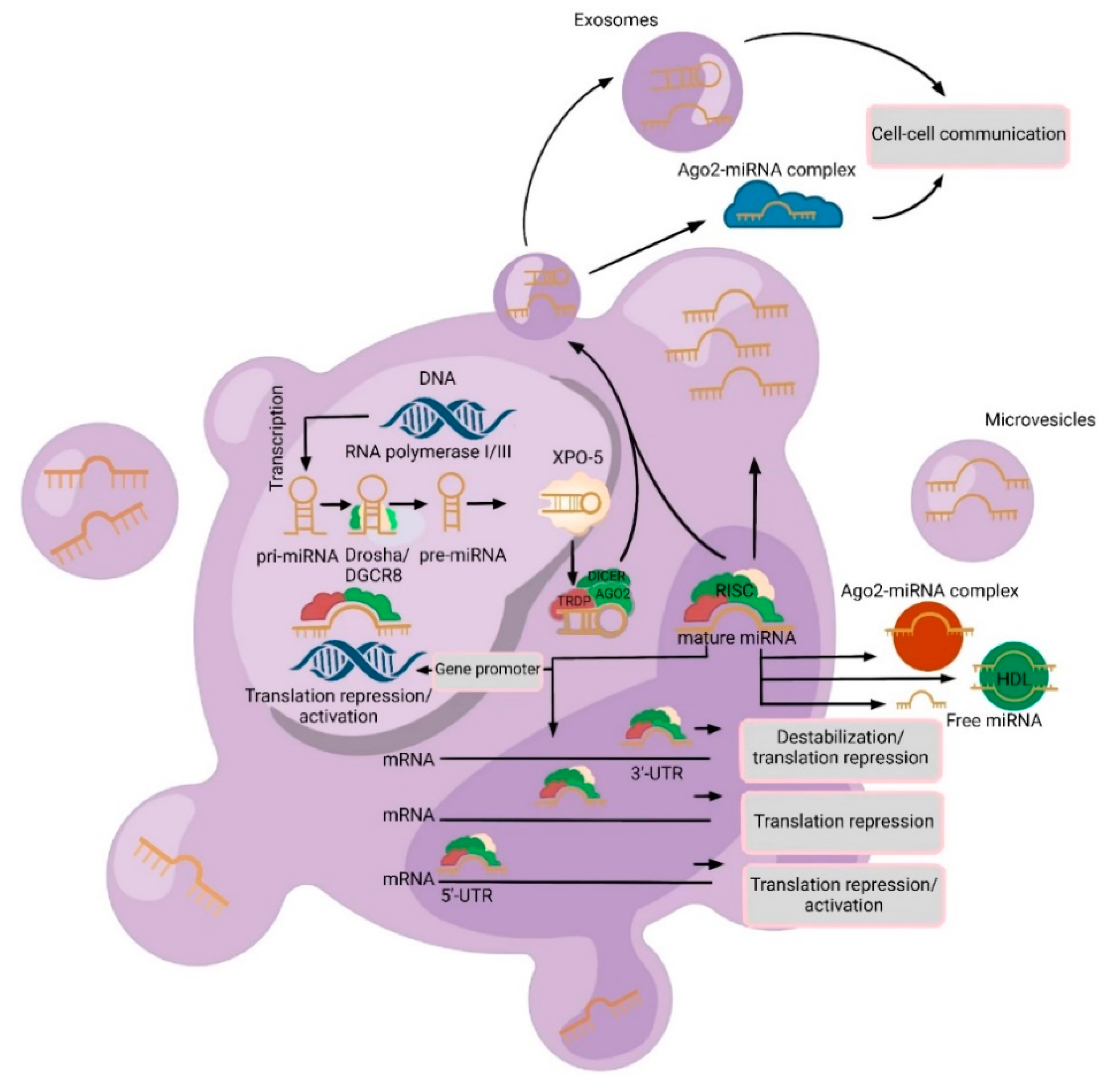 Diagnostics 13 02888 g001
