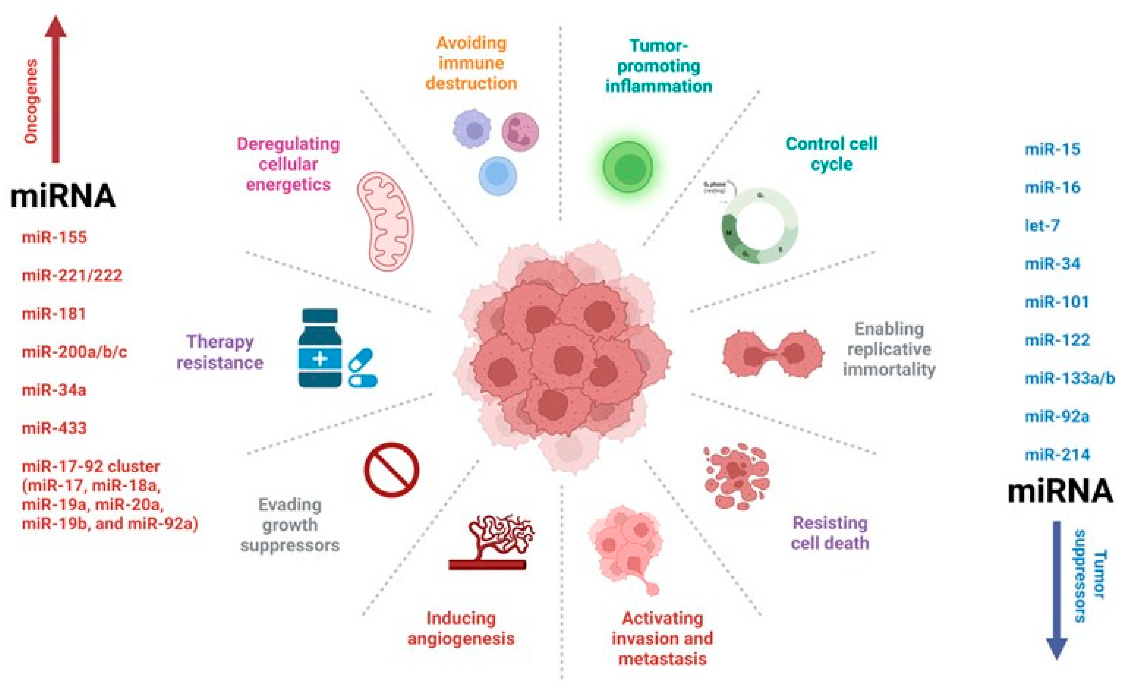 Diagnostics 13 02888 g002