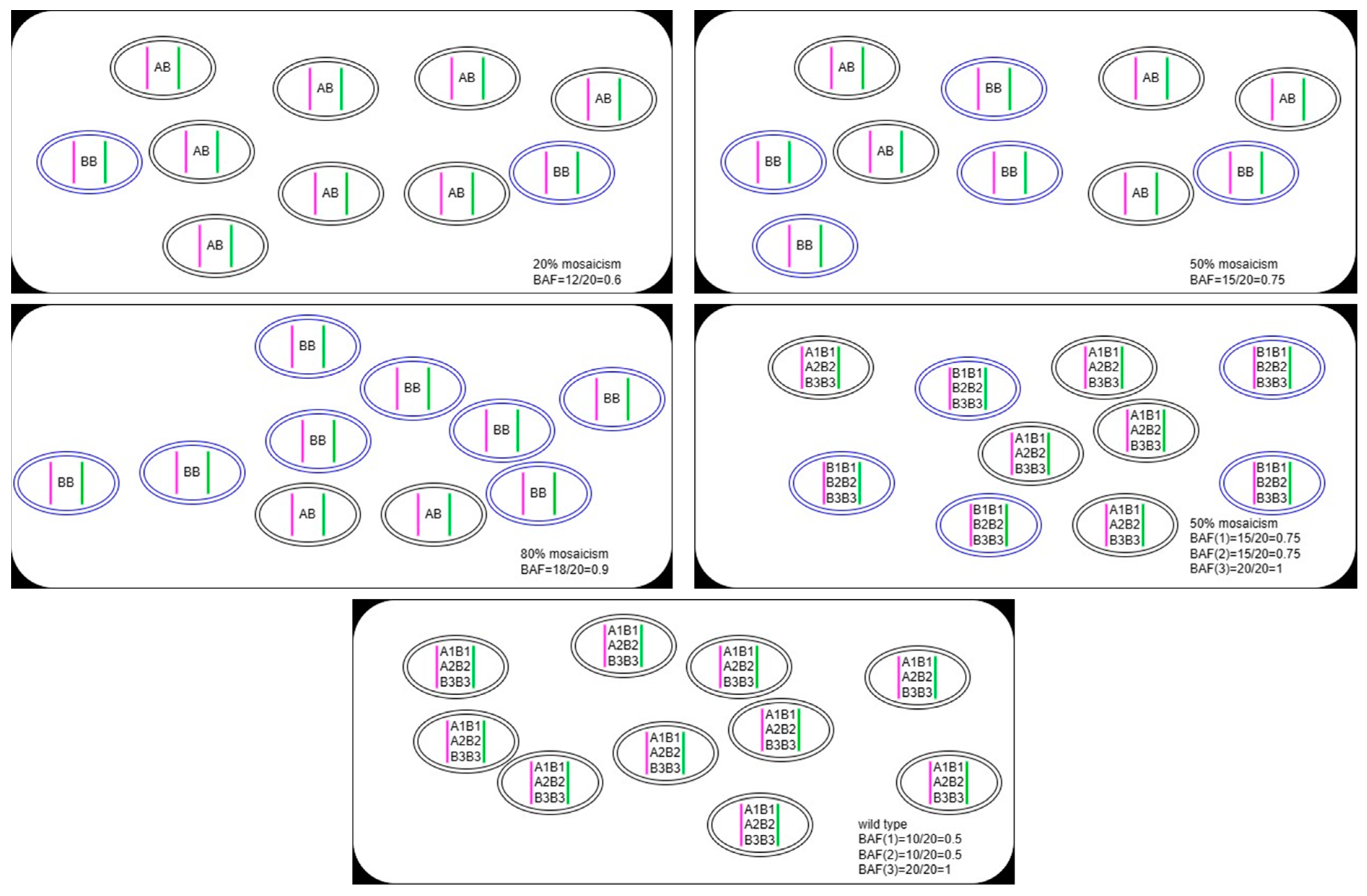 Diagnostics 13 02895 g001