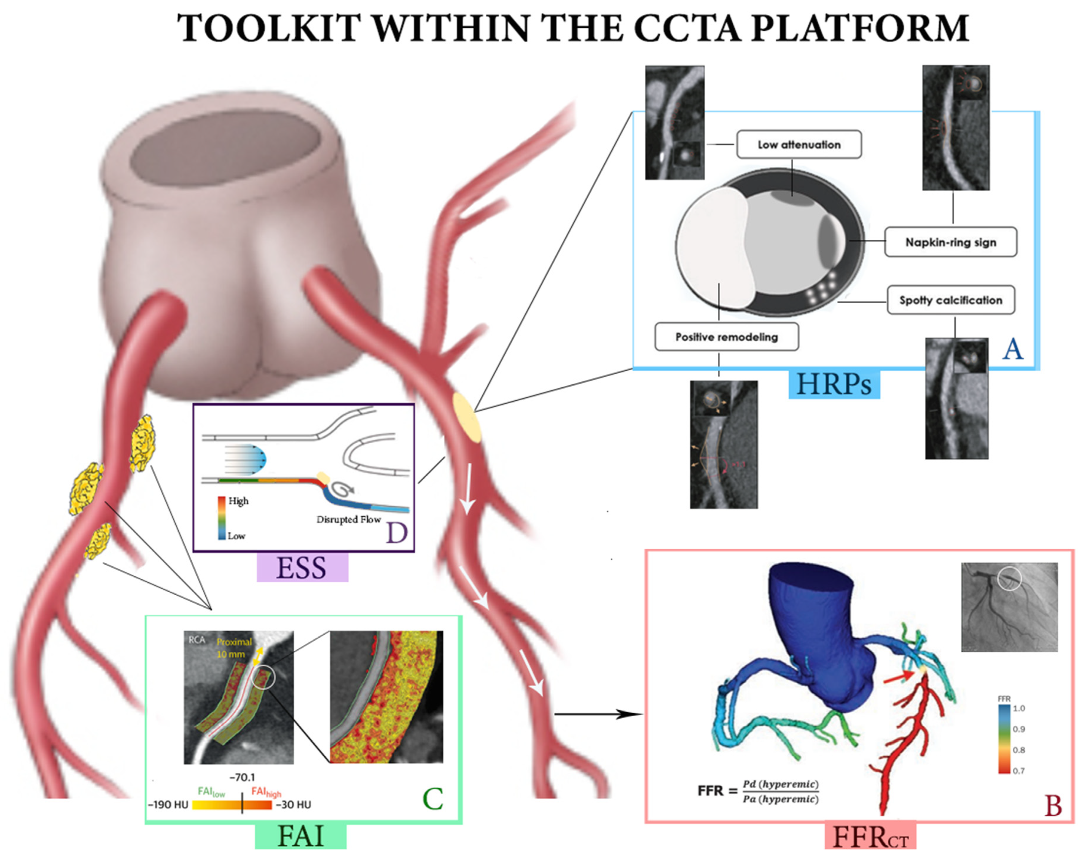 Diagnostics 13 02902 g001