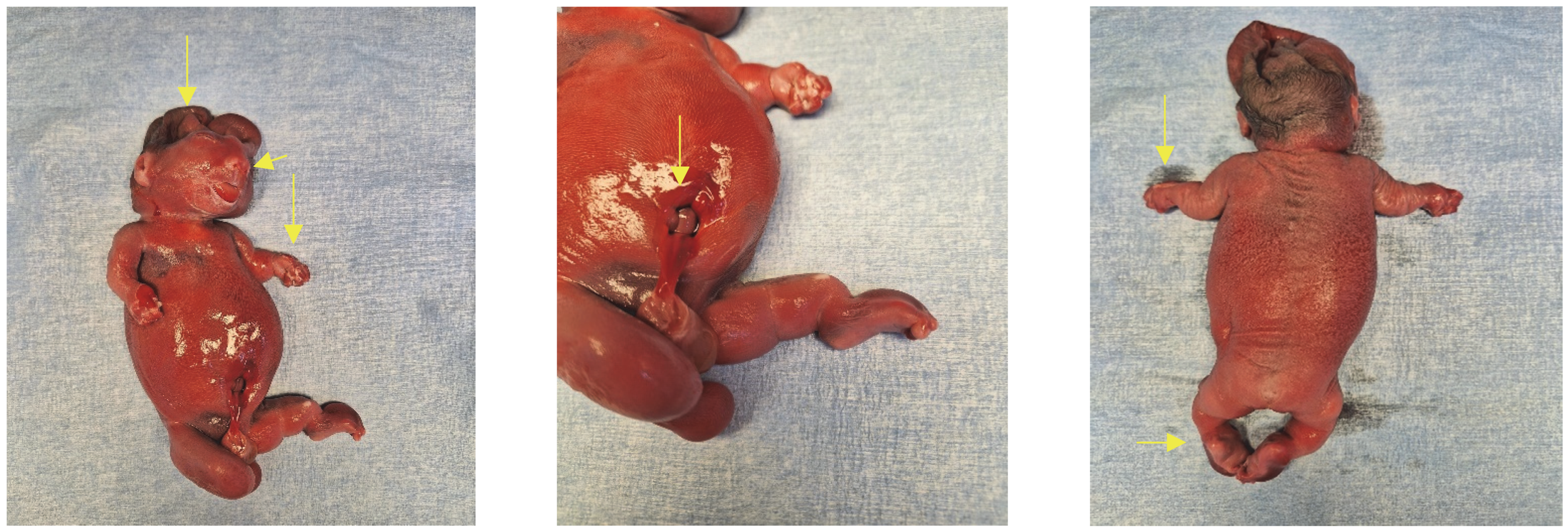 Diagnostics 13 02905 g004