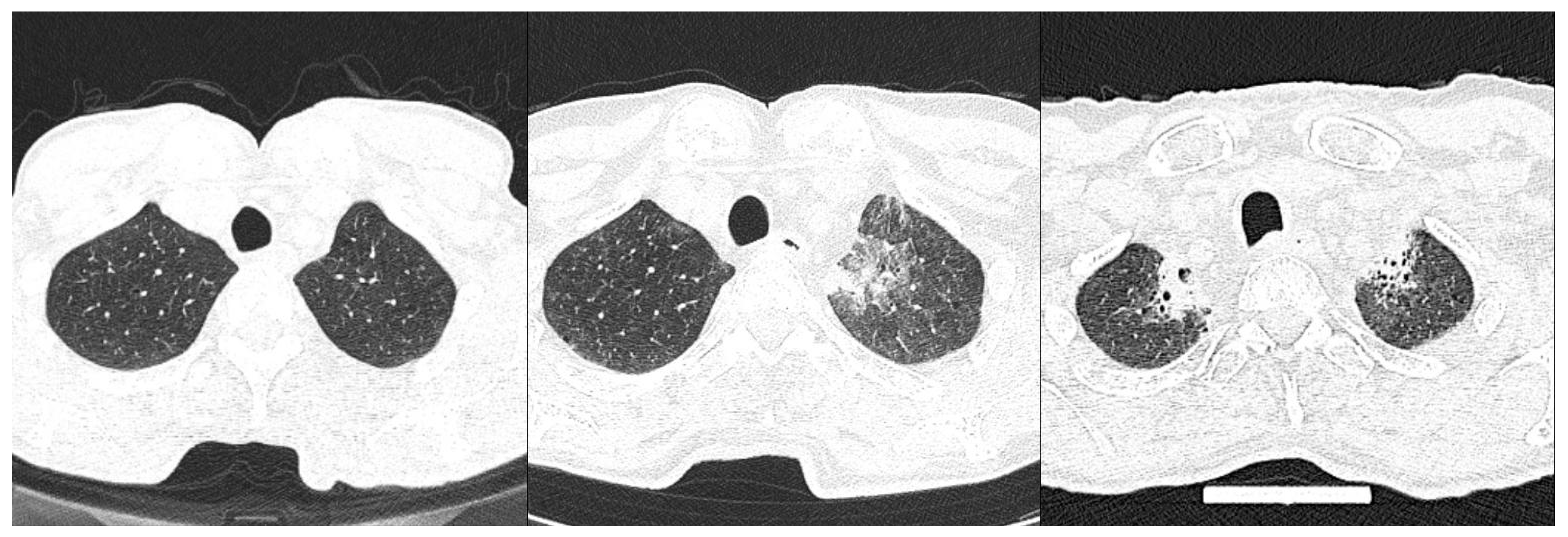 Diagnostics 13 02908 g006