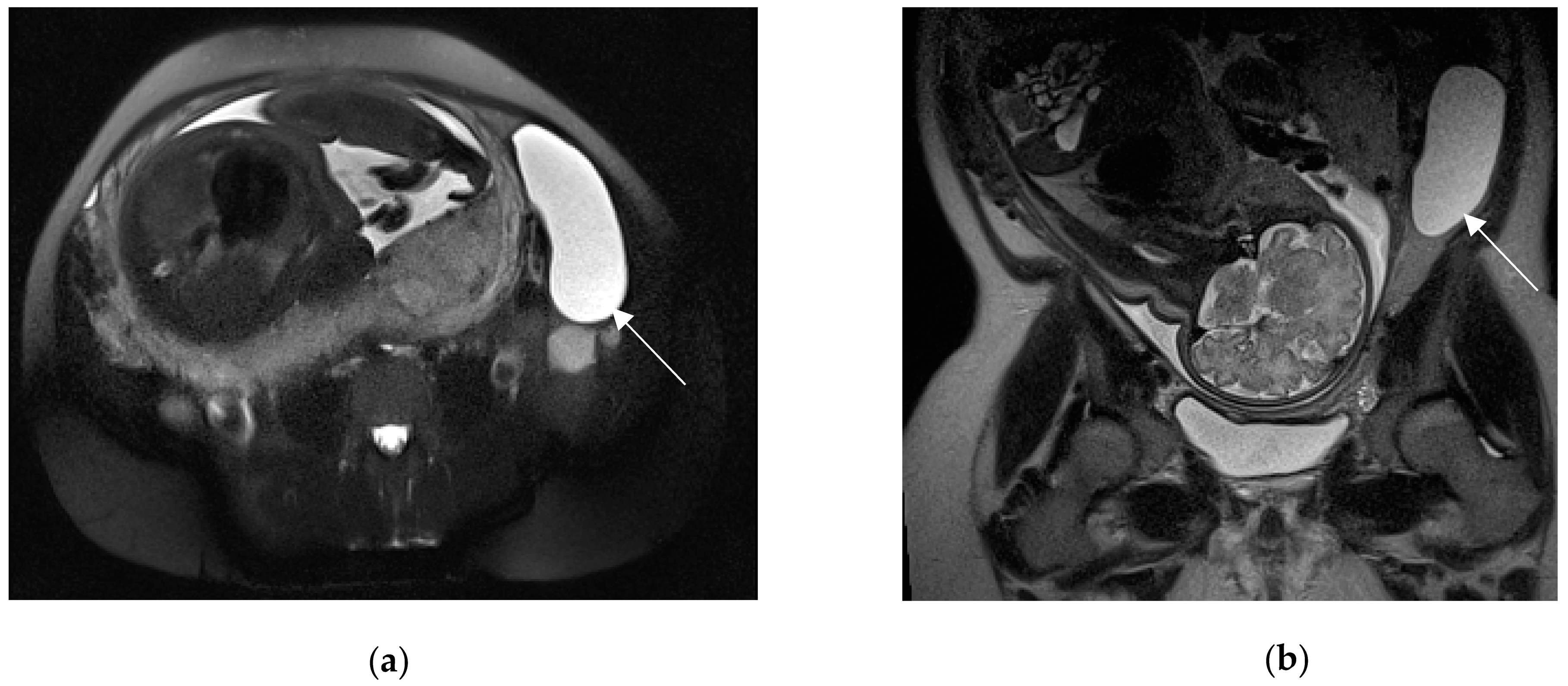 Diagnostics 13 02909 g009