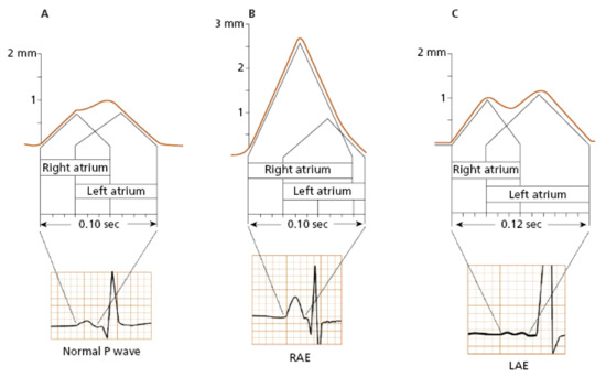 Diagnostics 13 02911 g001