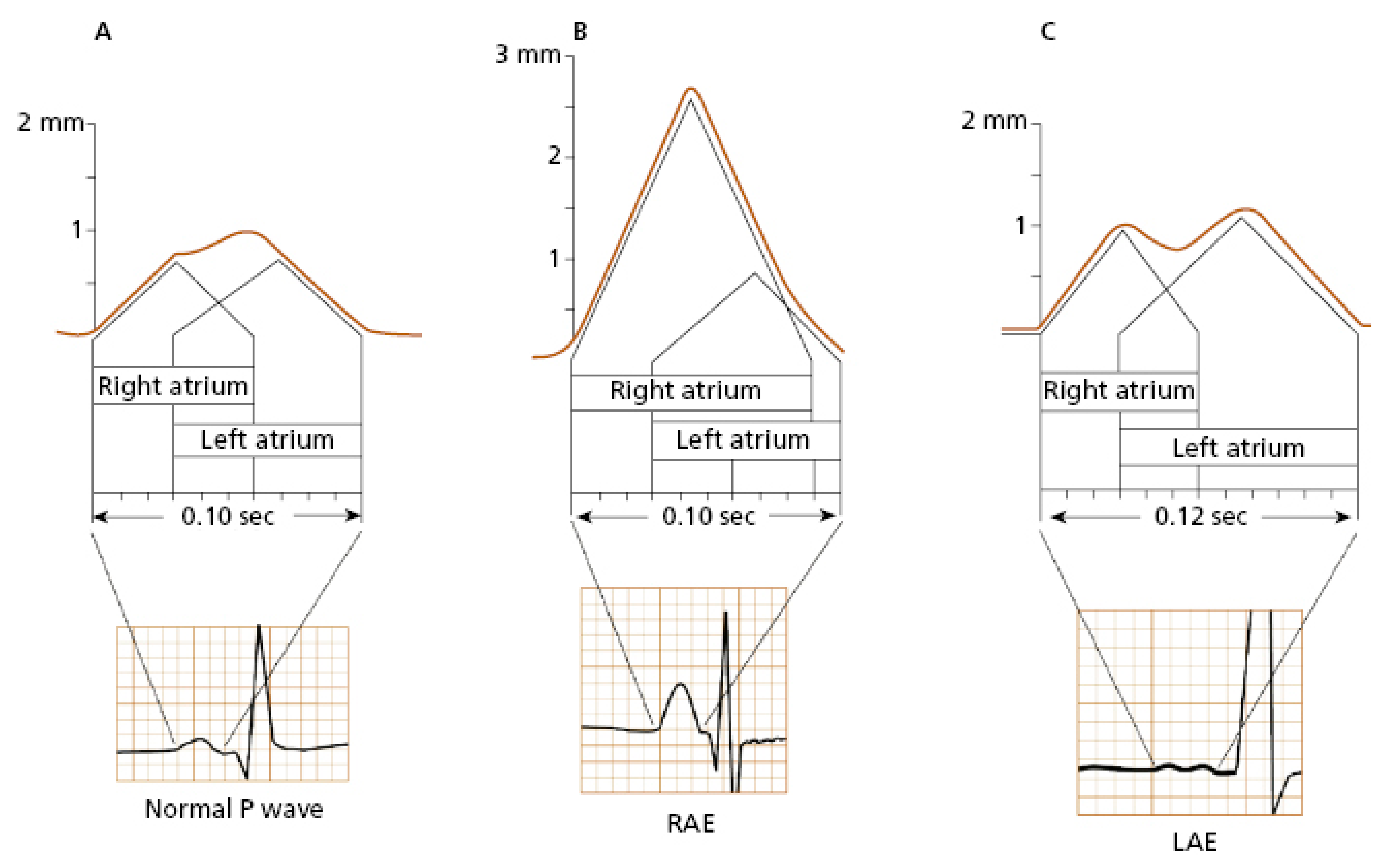 Diagnostics 13 02911 g001 Diagnostics 13 02911 g001