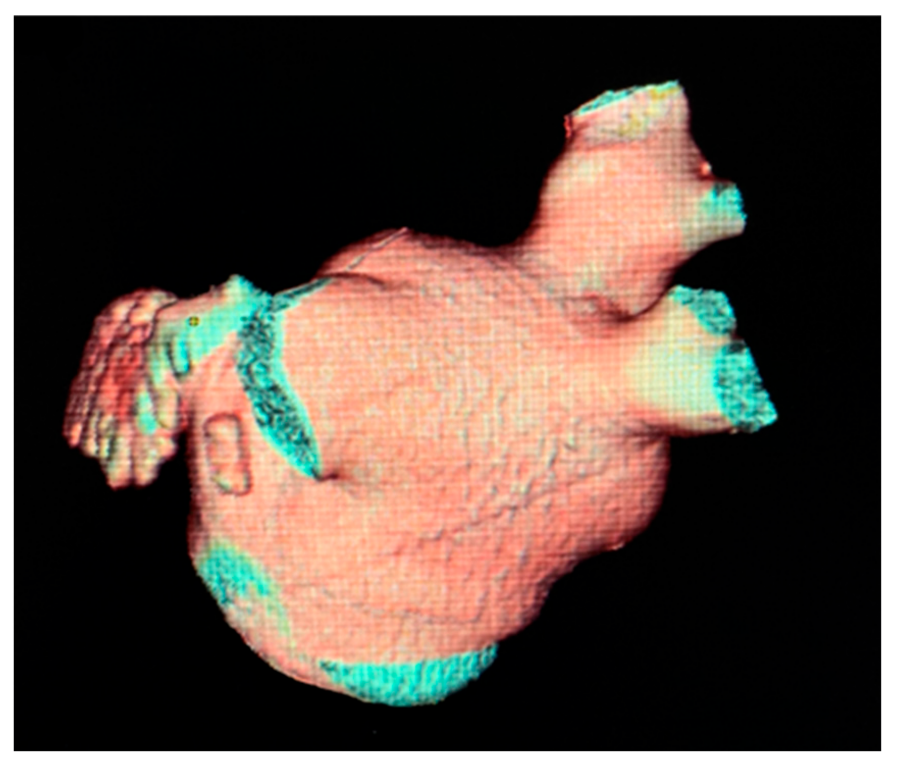 Diagnostics 13 02911 g002 Diagnostics 13 02911 g002