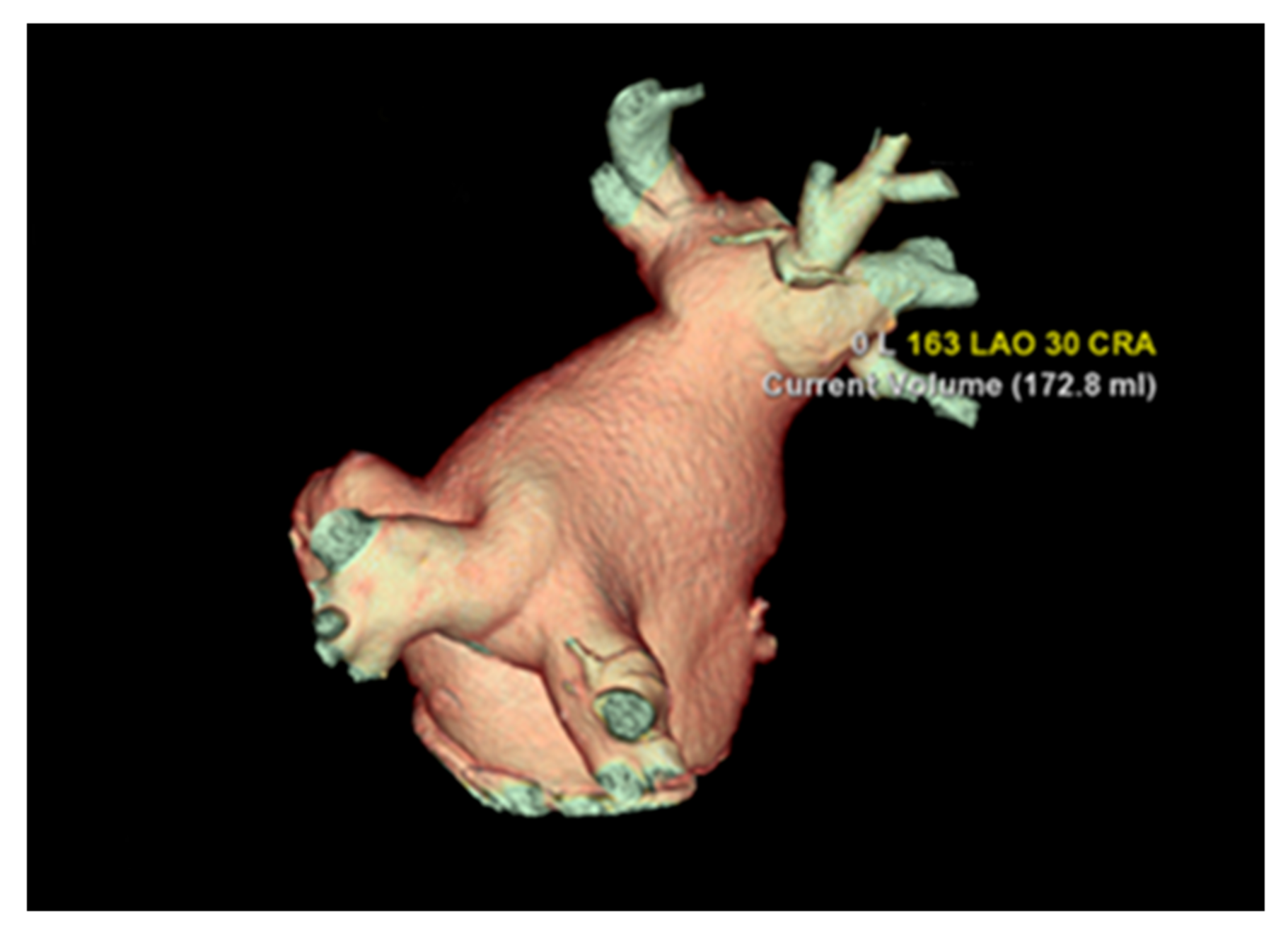 Diagnostics 13 02911 g003 Diagnostics 13 02911 g003