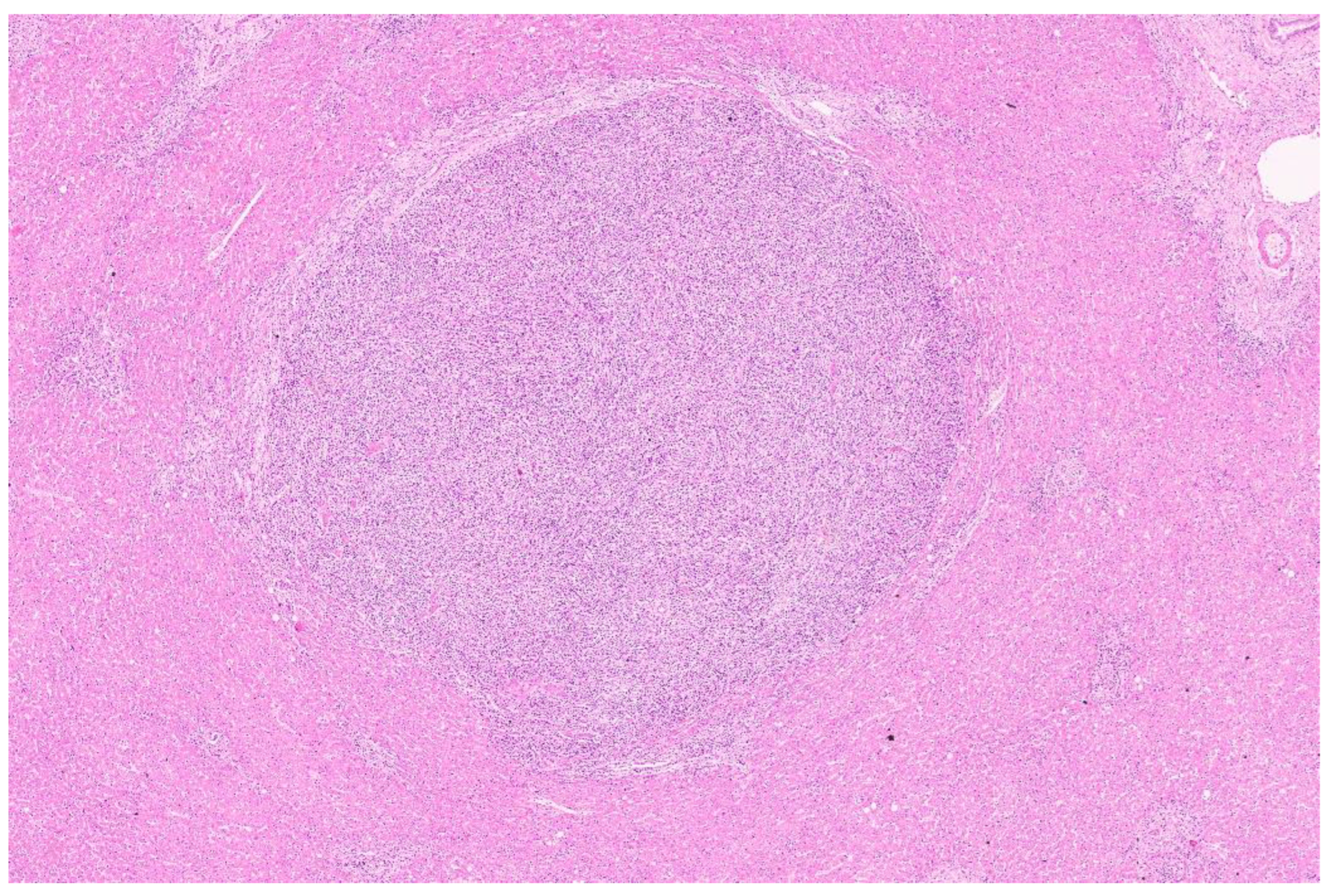 Diagnostics 13 02916 g001