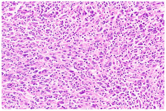 Diagnostics 13 02916 g002