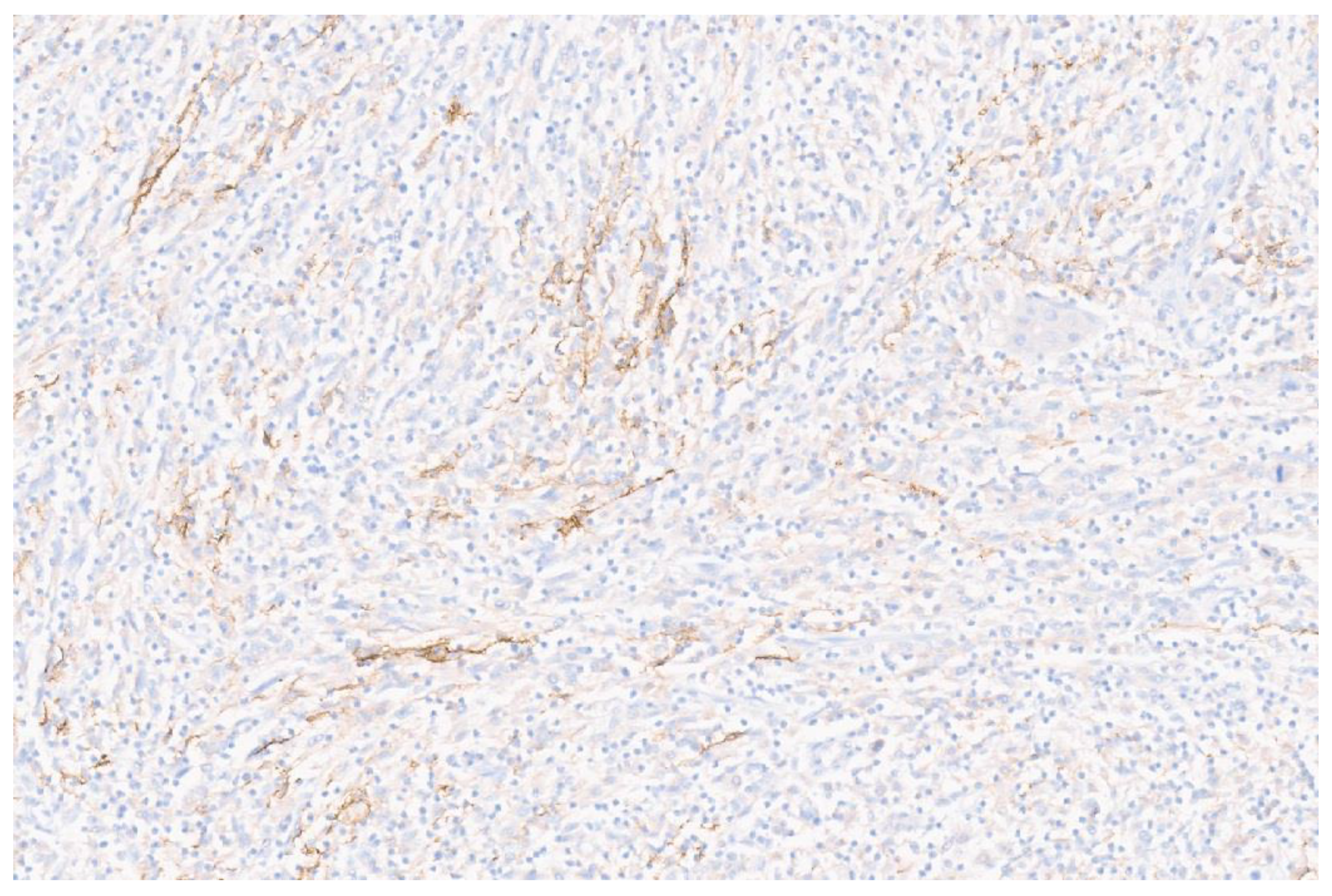 Diagnostics 13 02916 g004