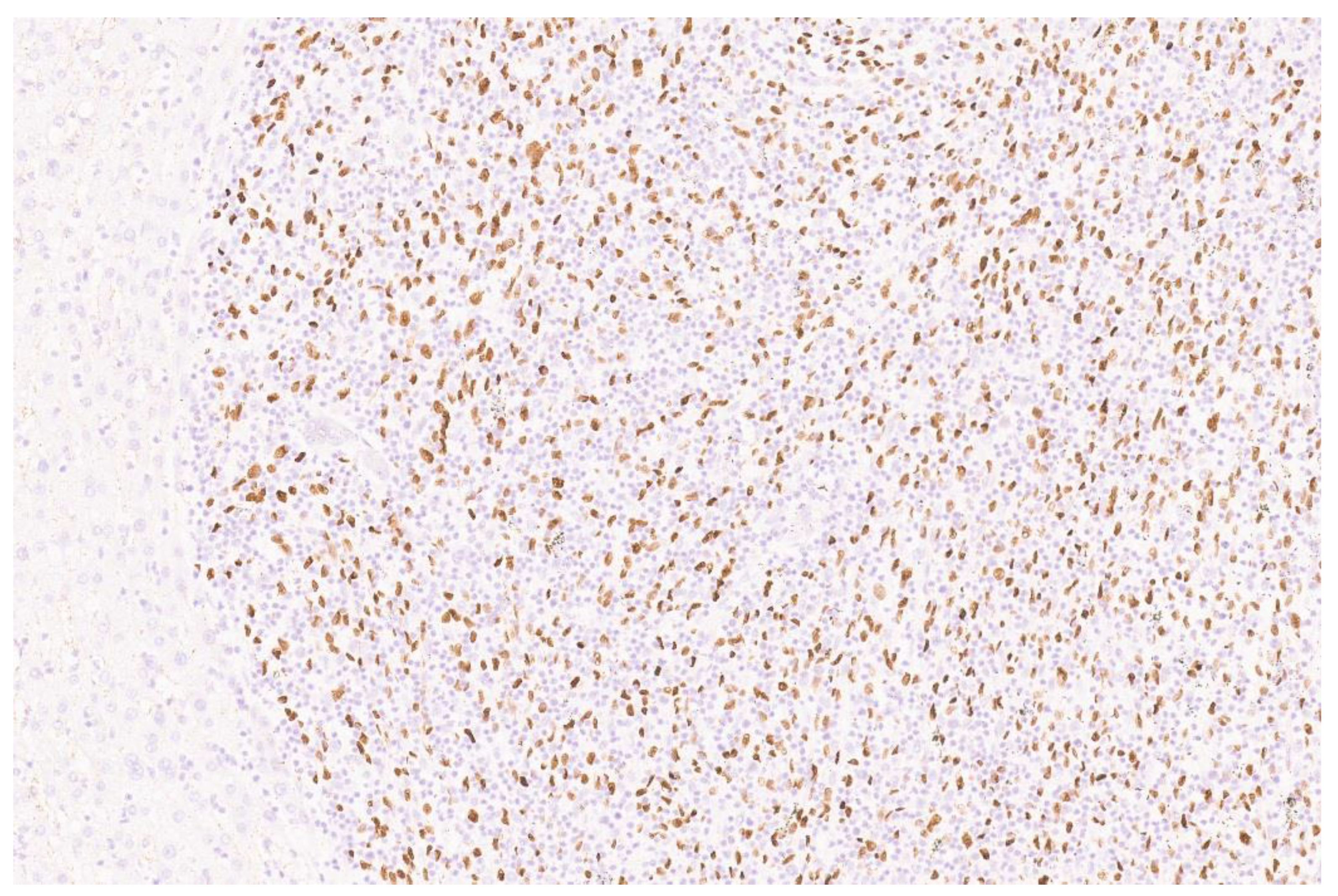 Diagnostics 13 02916 g005