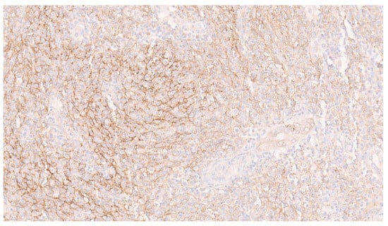 Diagnostics 13 02916 g007