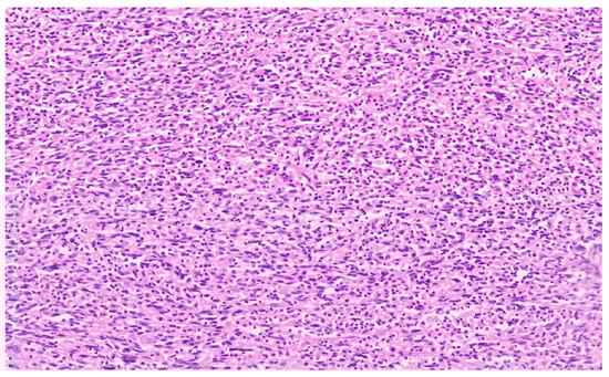 Diagnostics 13 02916 g008