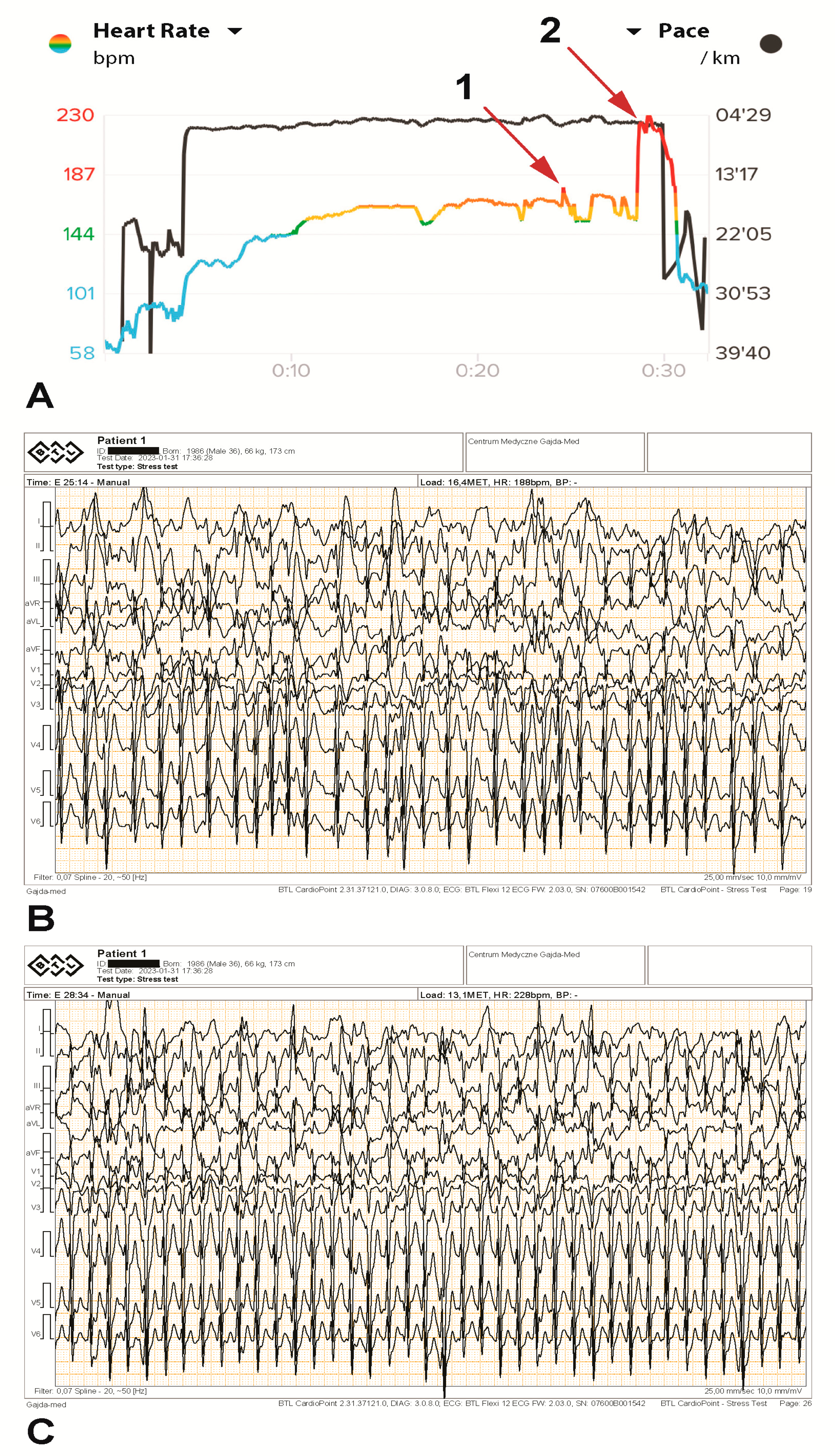 Diagnostics 13 02917 g003
