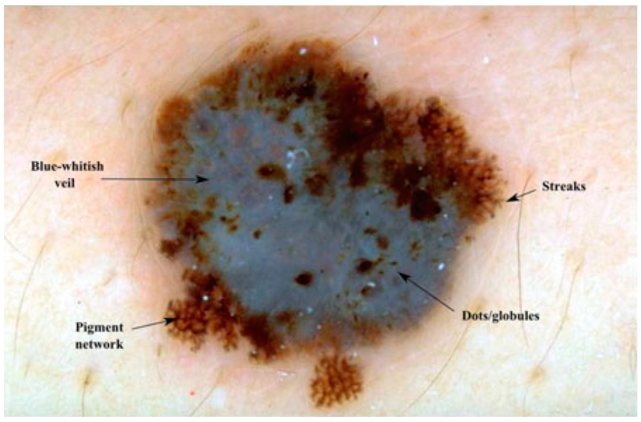 Diagnostics 13 02924 g001