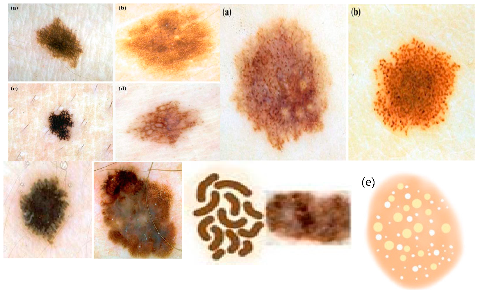 Diagnostics 13 02924 g002