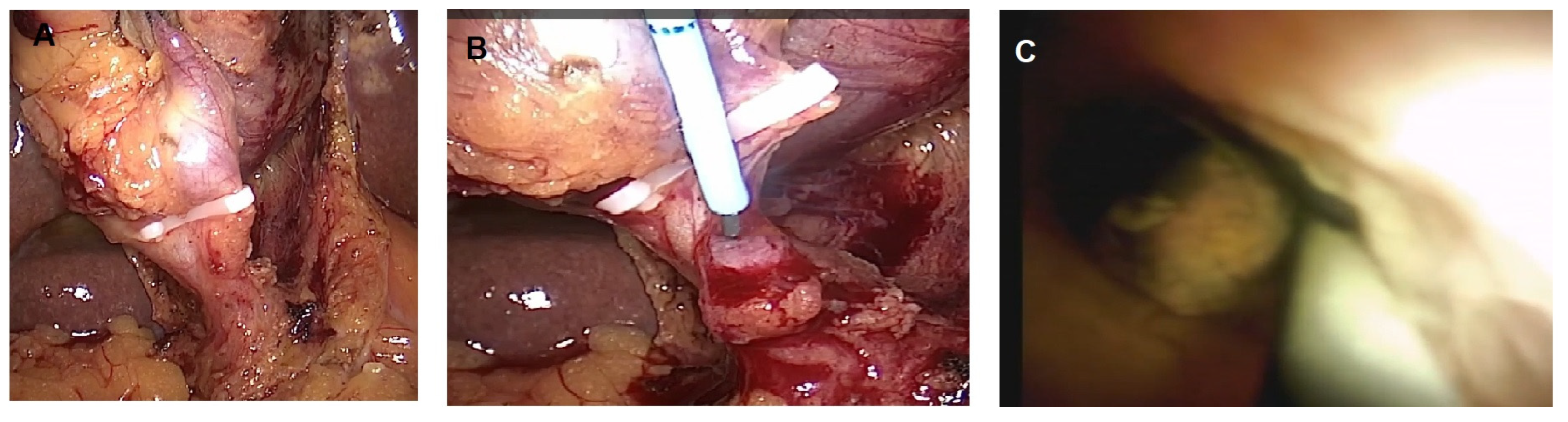 Diagnostics 13 02933 g003