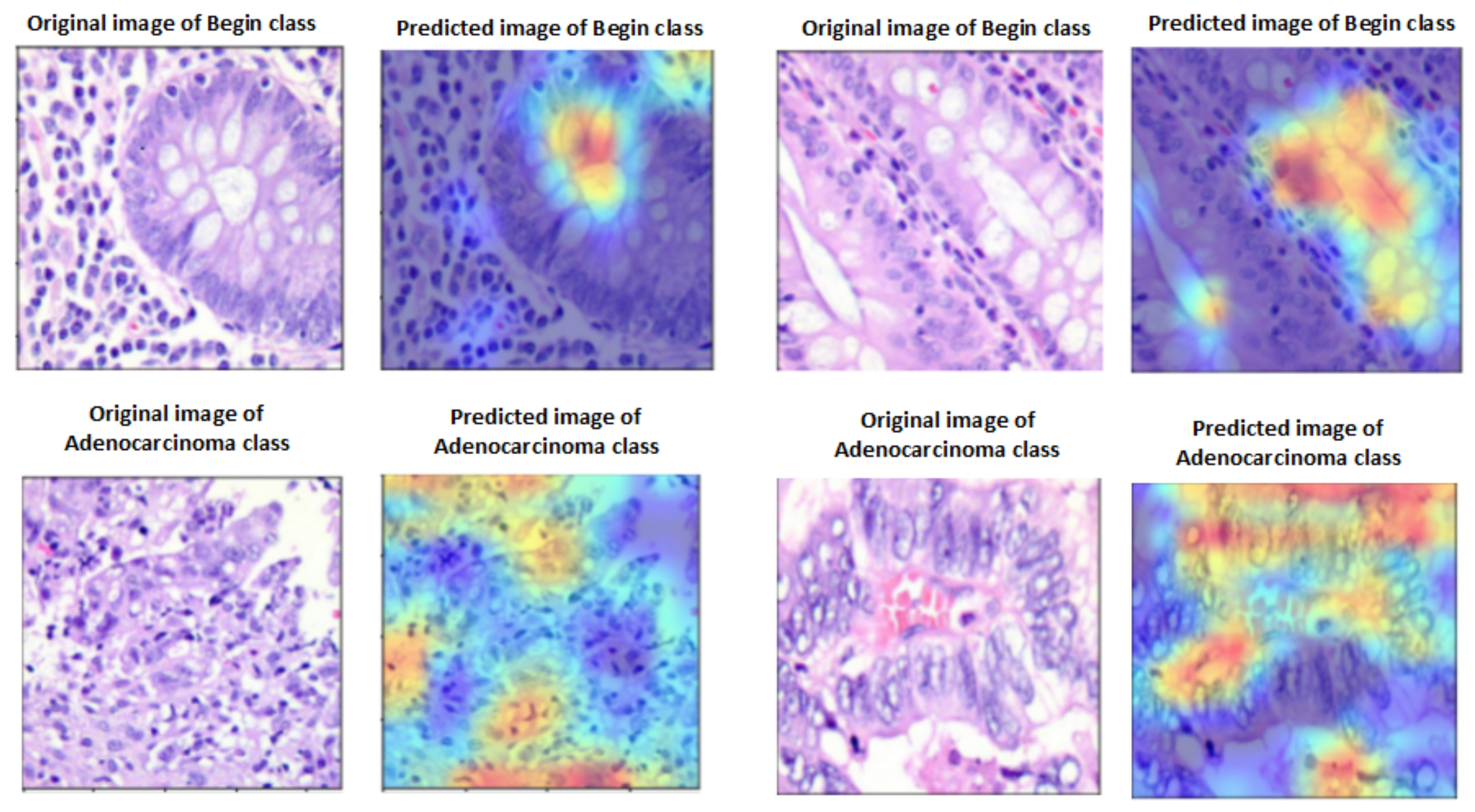 Diagnostics 13 02939 g011